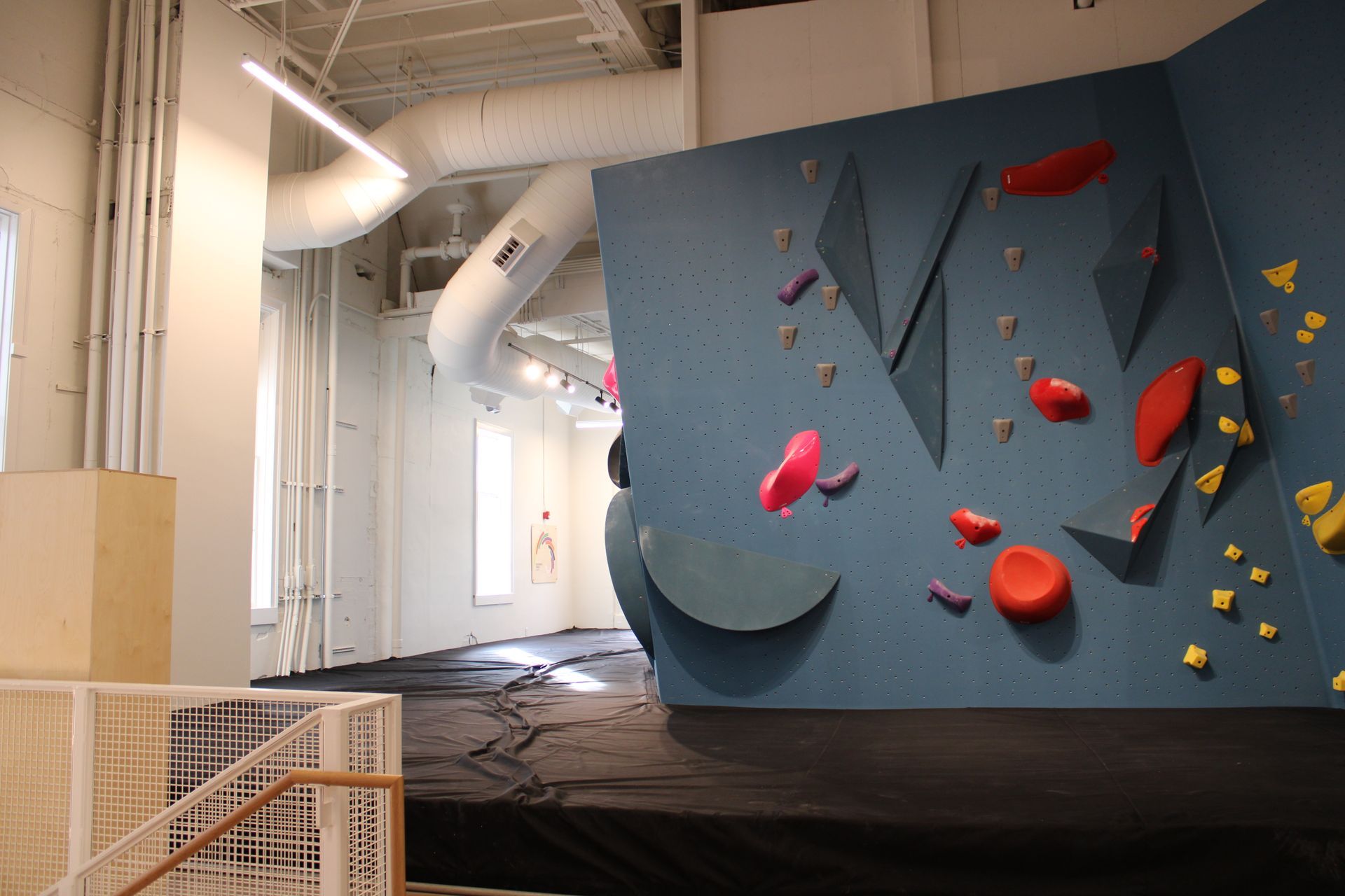 Indoor climbing gym with blue walls, colorful holds, and a black floor.