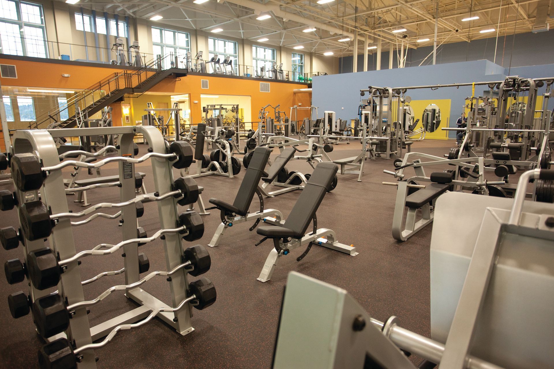 Gym interior with rows of weight machines, dumbbells, and benches.