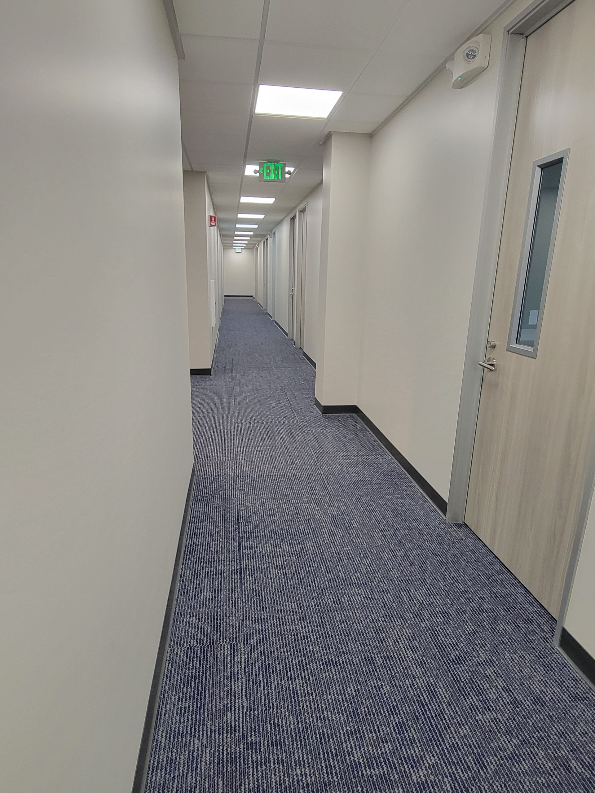 Narrow office hallway with patterned blue carpet, white walls, and doors.