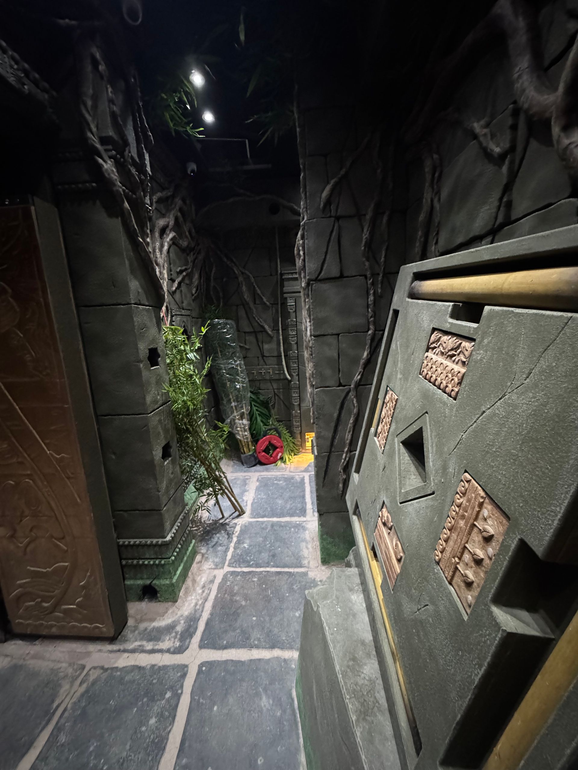 Dark, narrow stone passageway with faux vines and a partly open door.