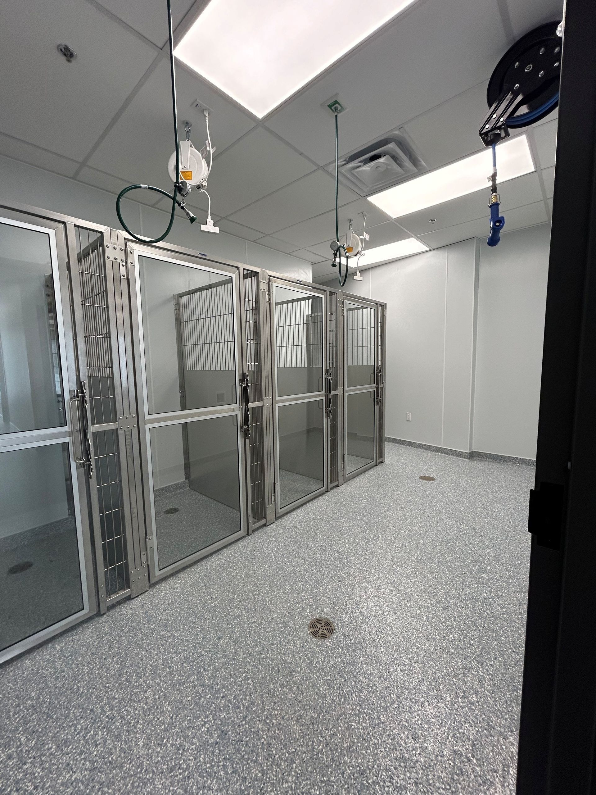 A pet grooming room with stainless steel shower stalls, gray flecked floor, and overhead sprayers.