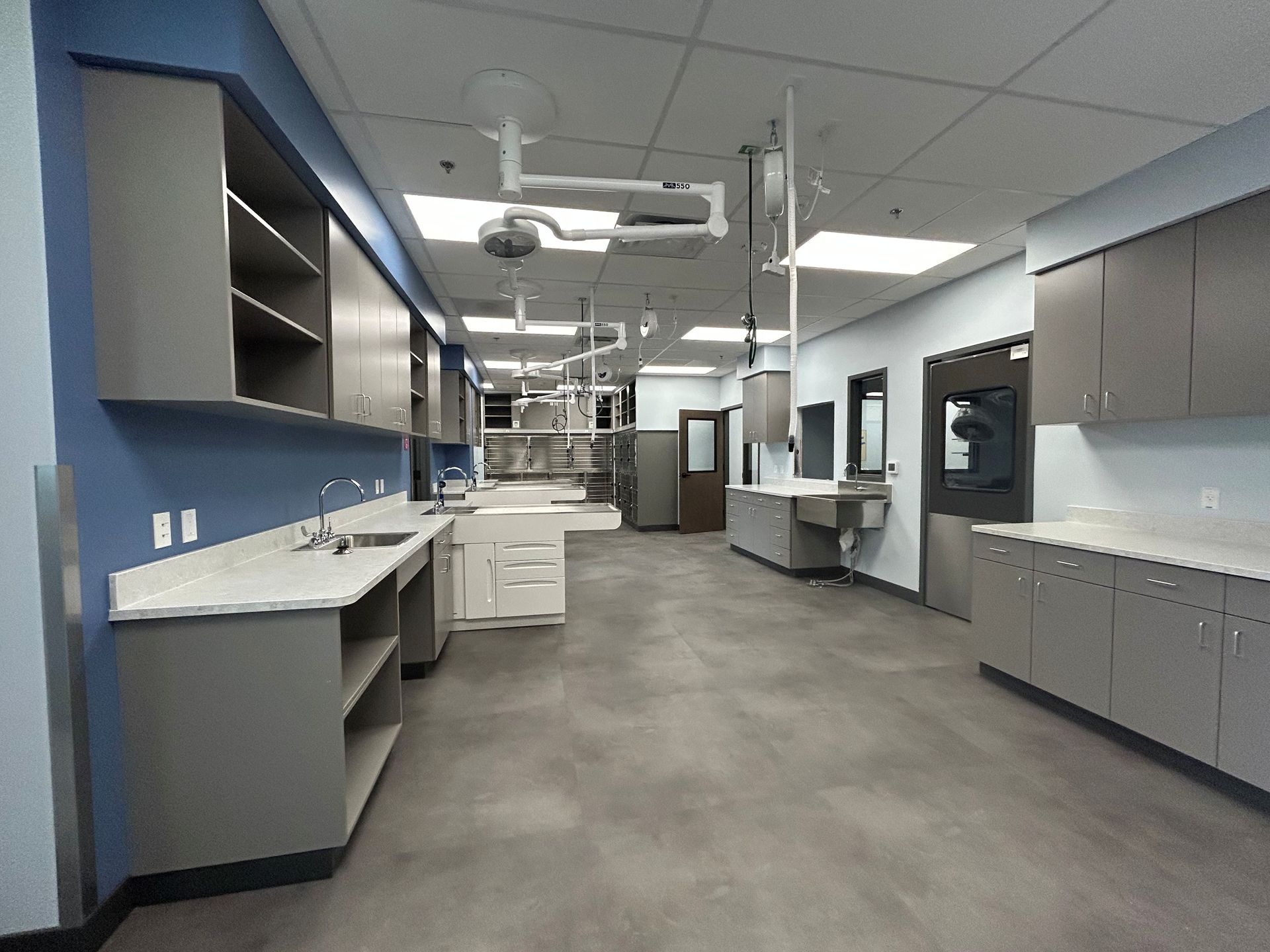 Interior of a modern veterinary clinic, featuring gray cabinets, blue wall, stainless steel fixtures, and surgical lighting.