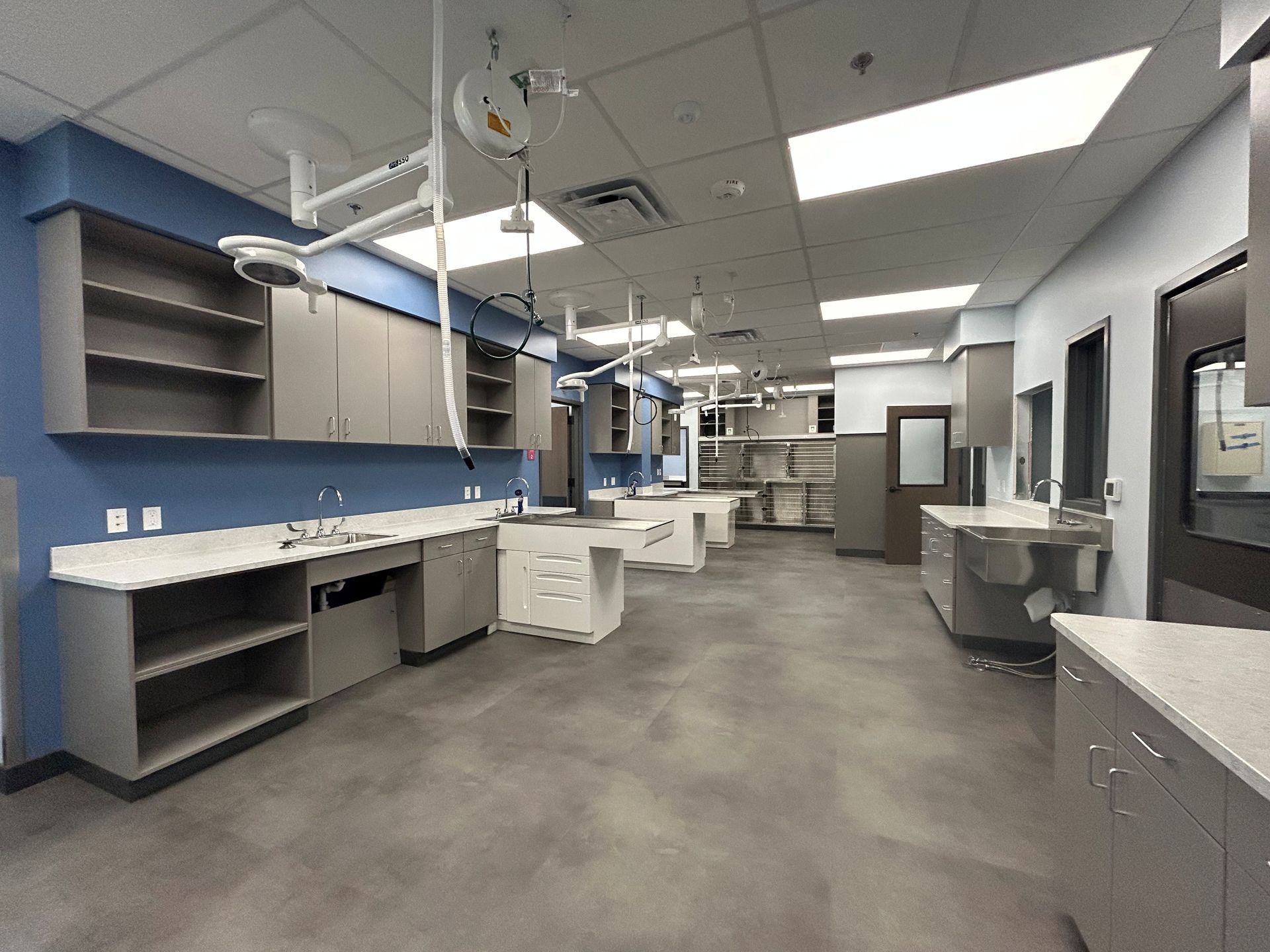 Interior view of a veterinary surgical suite with blue and gray cabinetry, examination tables, and overhead surgical lighting.