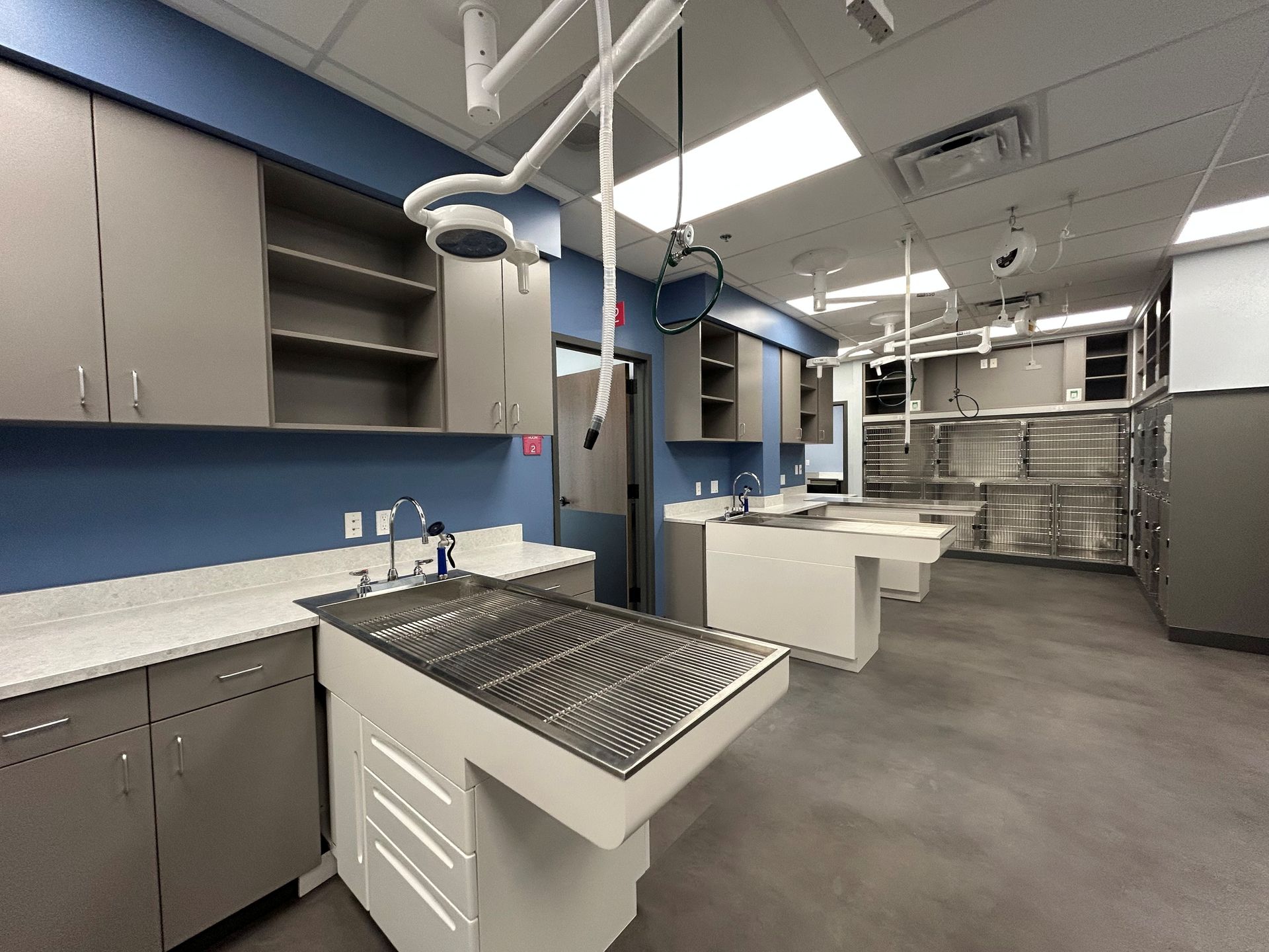 Veterinary clinic examination room with stainless steel tables, cabinets, and blue wall.