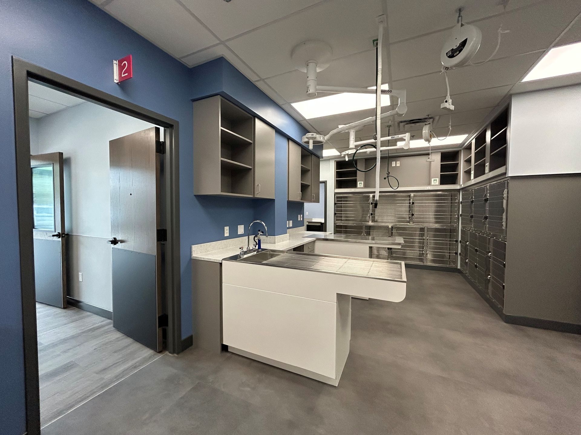 Veterinary surgical suite: gray and blue walls, stainless steel tables, cabinets, and surgical lights. A doorway leads to another room.