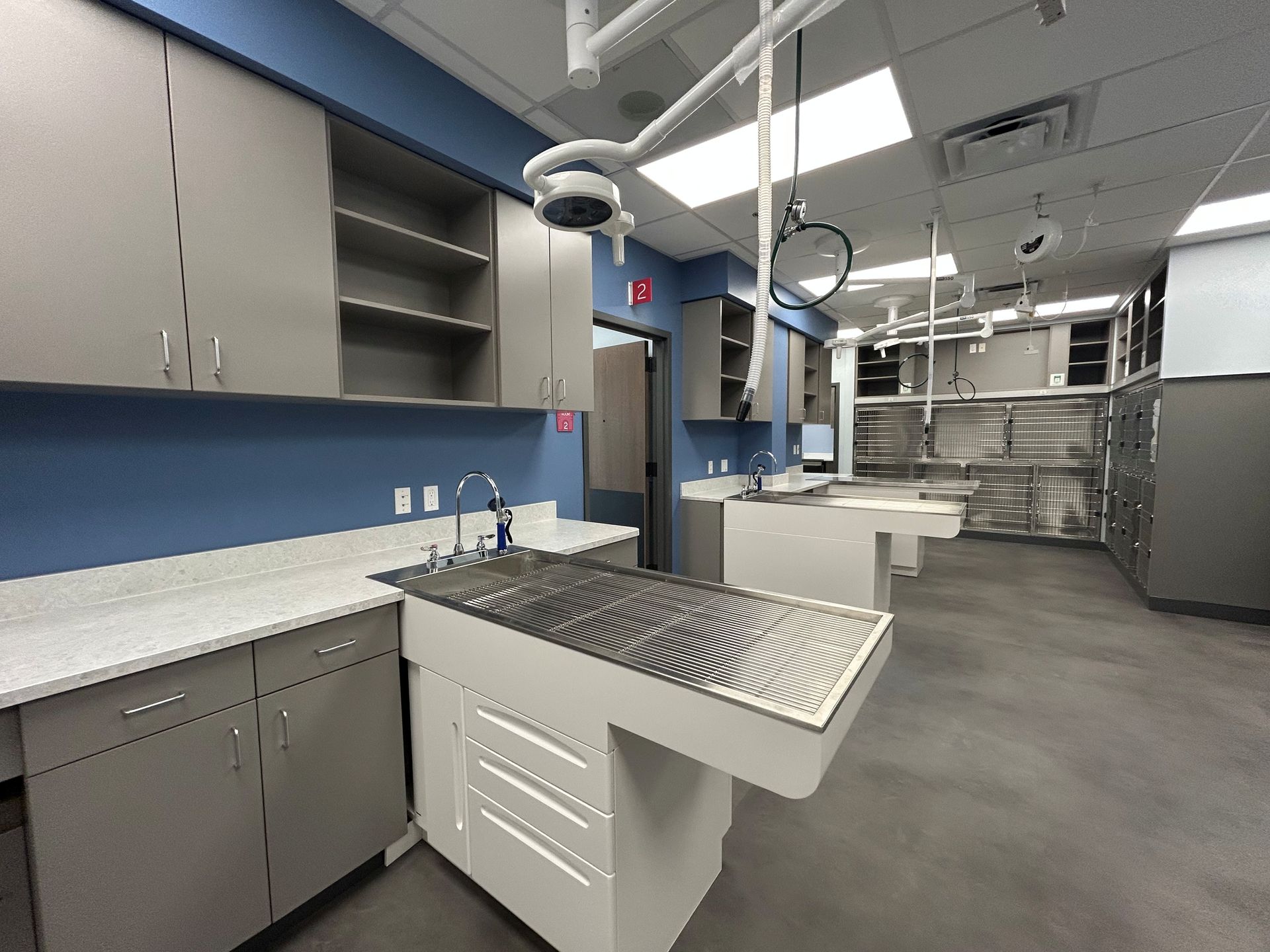 Veterinary operating room with stainless steel tables, cabinets, and surgical lights. Blue wall and gray floor.