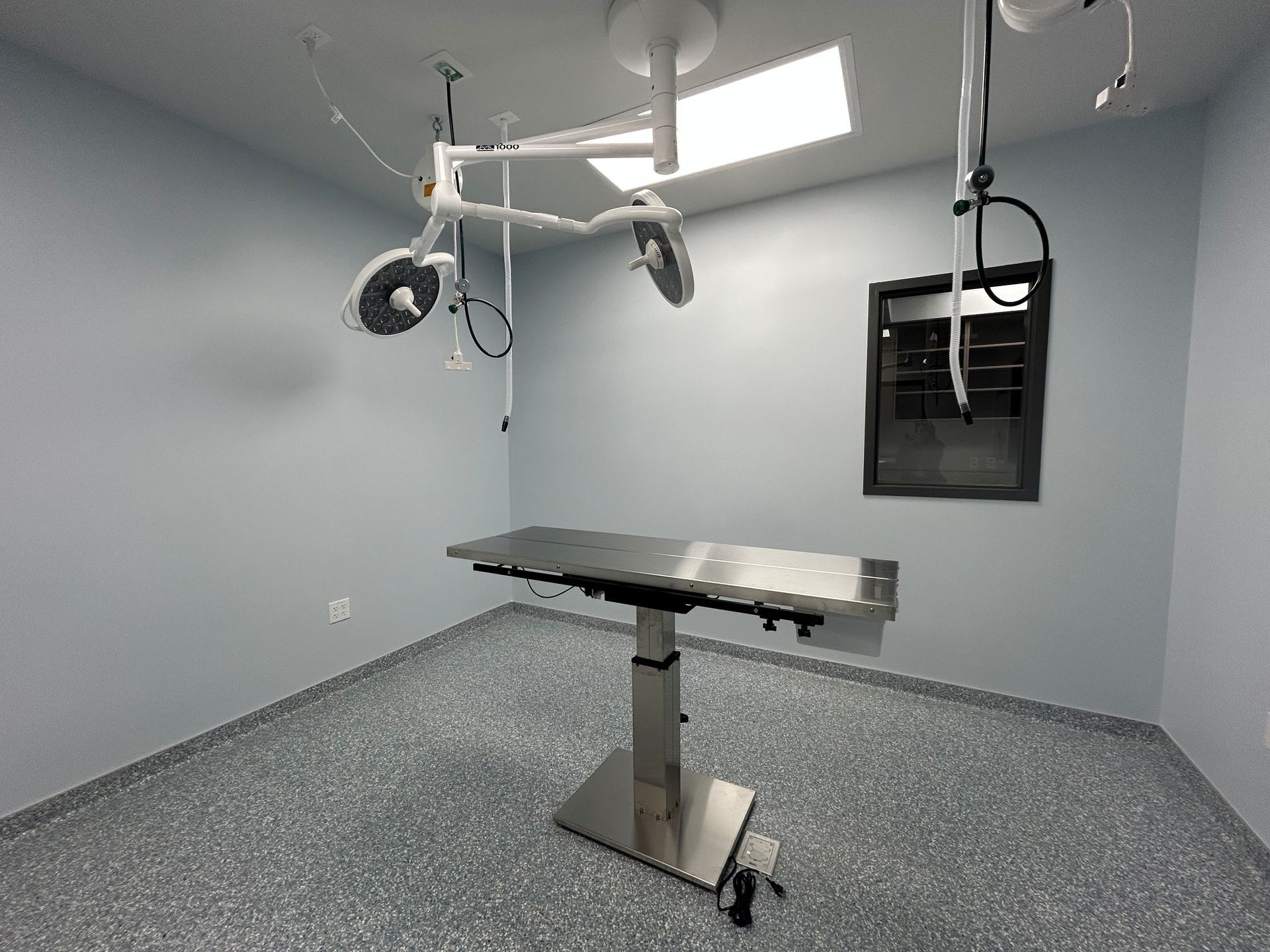 Veterinary surgery room with surgical table, overhead lights, and a small window.