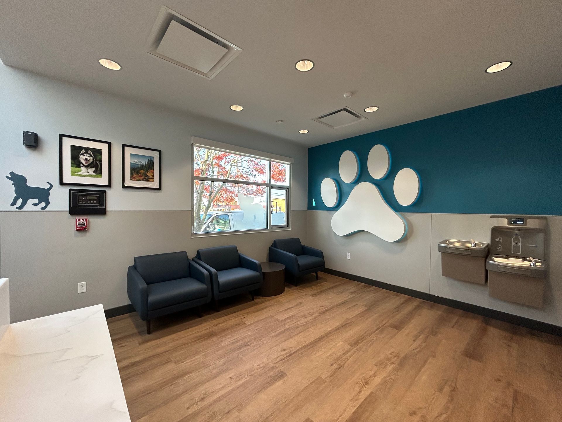 Waiting room with dog paw art, blue chairs, wood floor, and water fountain.