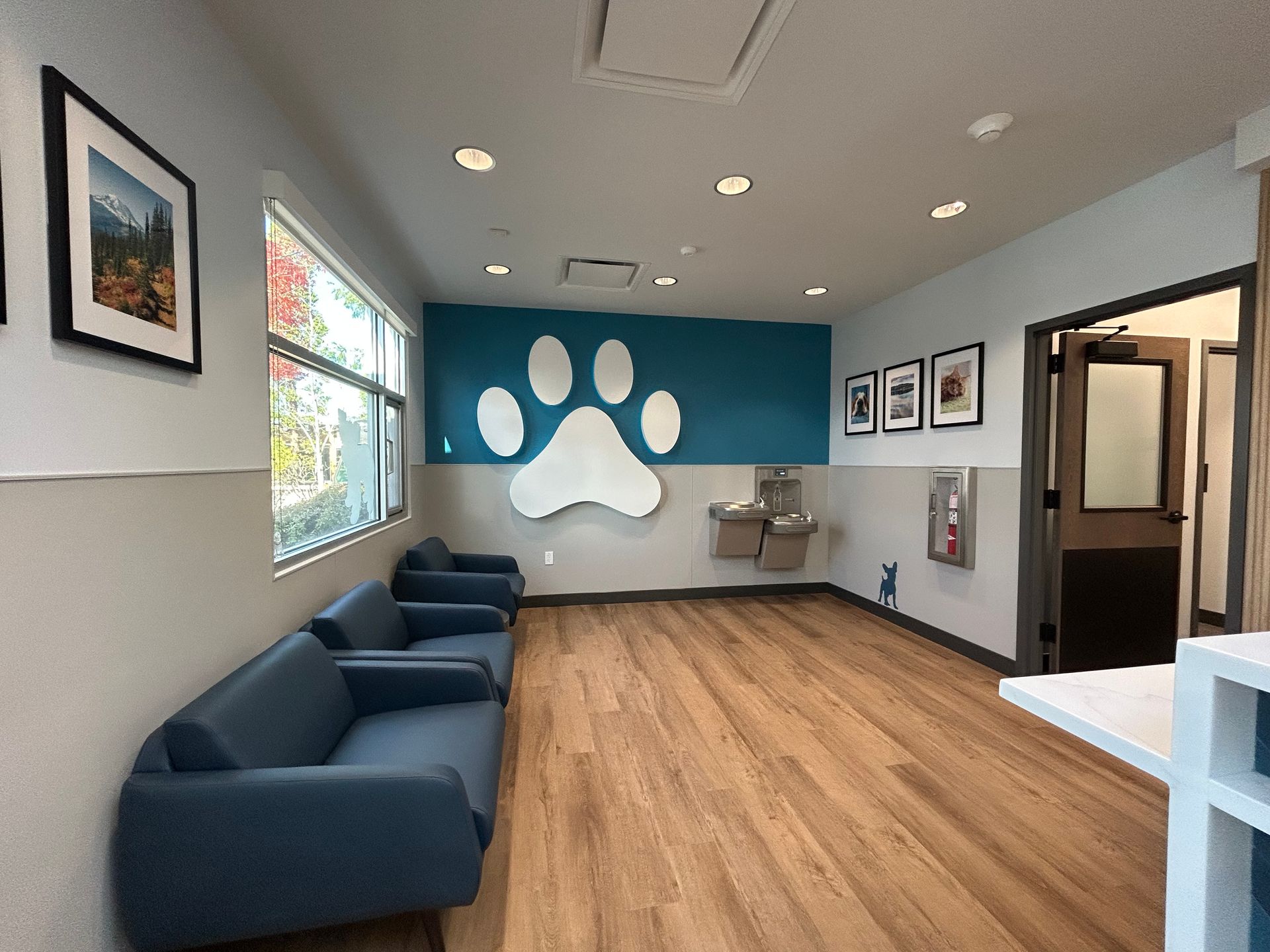 Waiting room with blue couches, paw print decor, and water fountain.