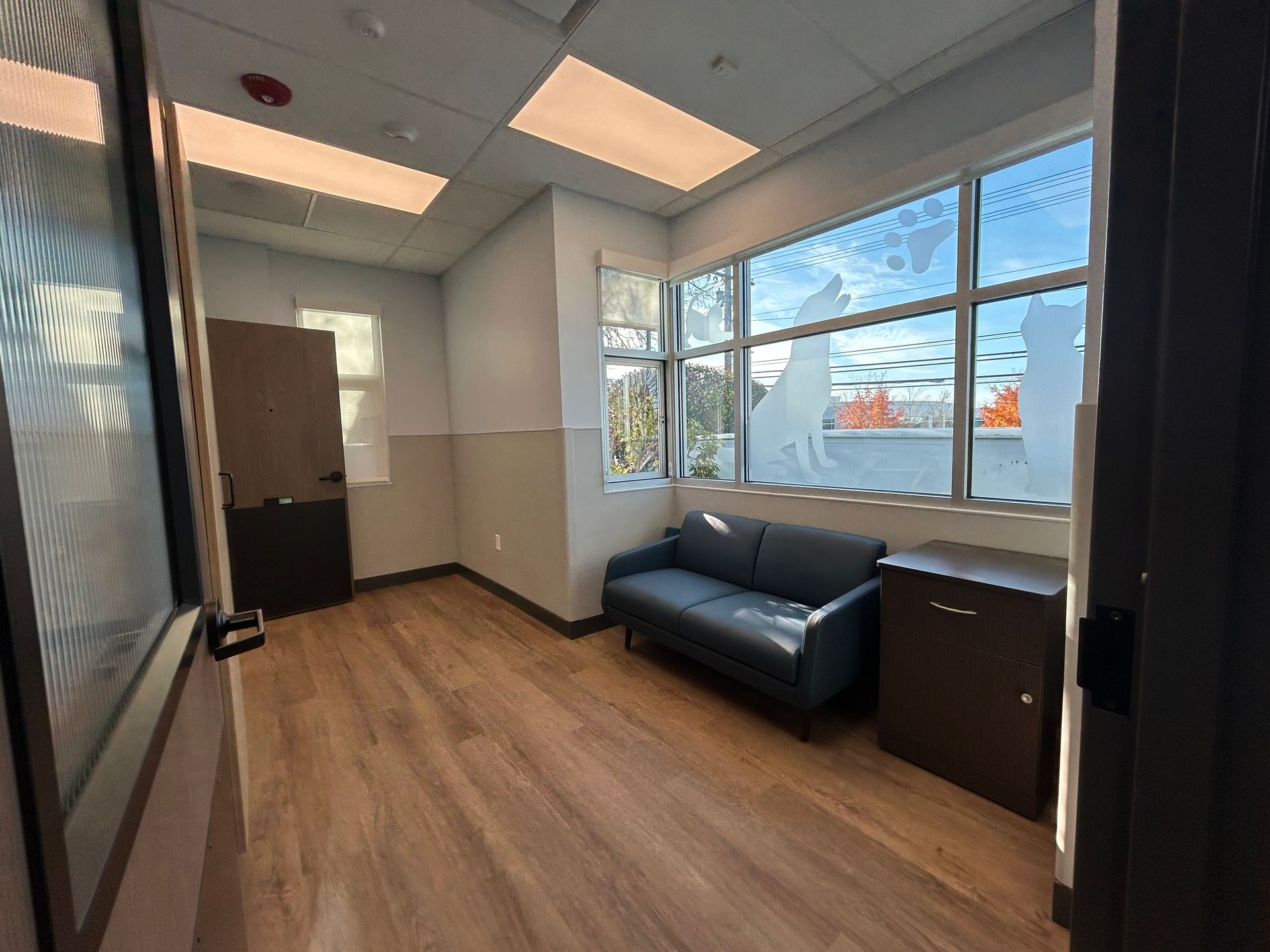 Waiting room with blue sofa, cabinet, and etched window with animal silhouettes; wood floor.