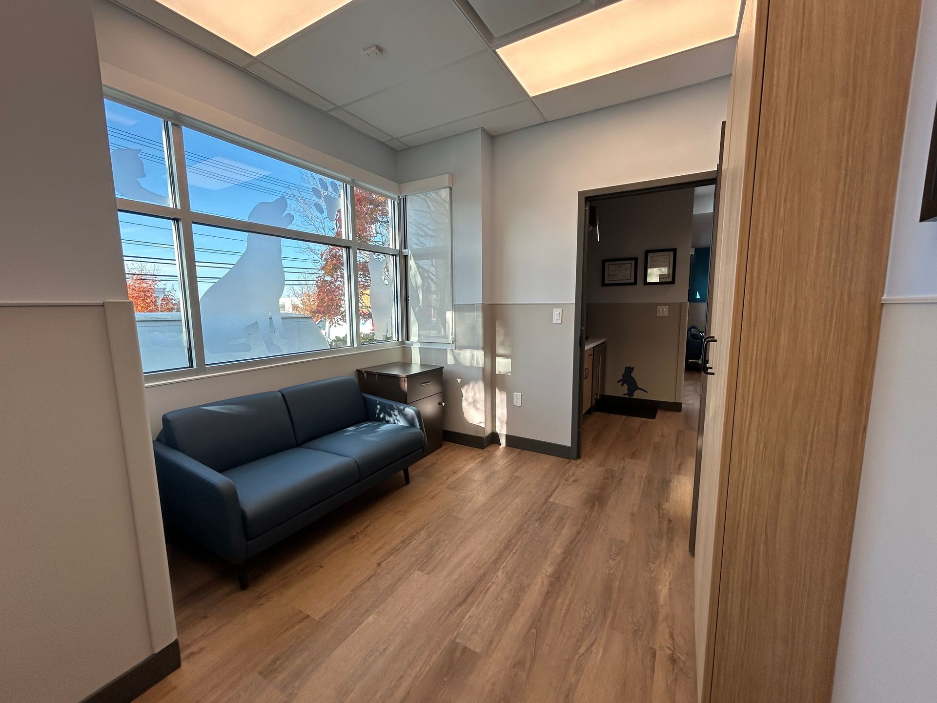 Waiting room with blue sofa, large window, and wooden floor.