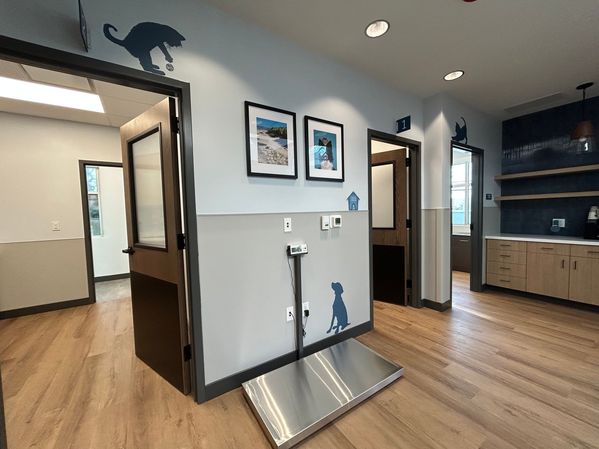 Veterinary clinic hallway with weight scale, framed photos, blue and gray walls, and wood-look flooring.