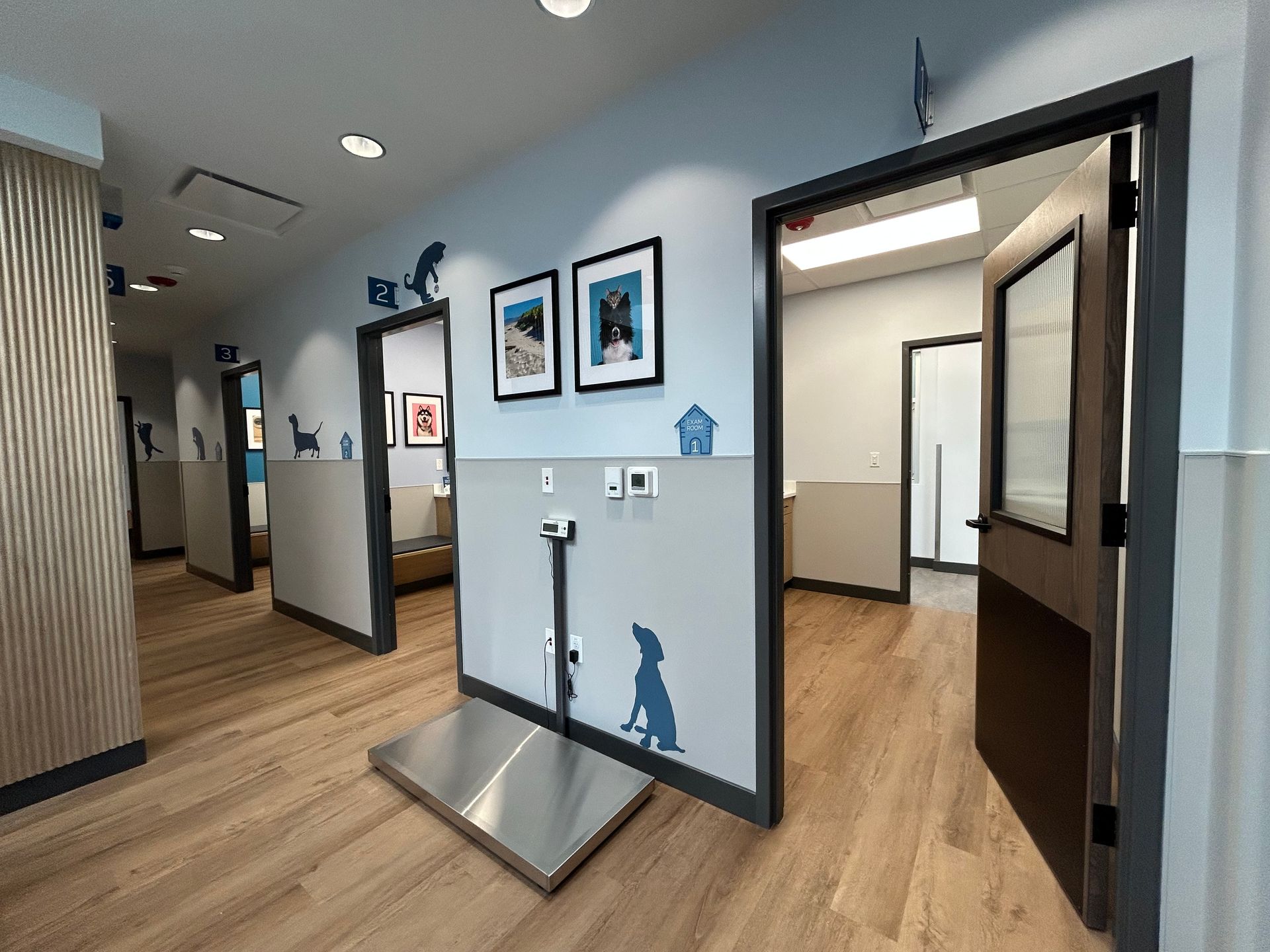 Veterinary clinic hallway with exam room doors, a scale, and pet-themed wall decor.