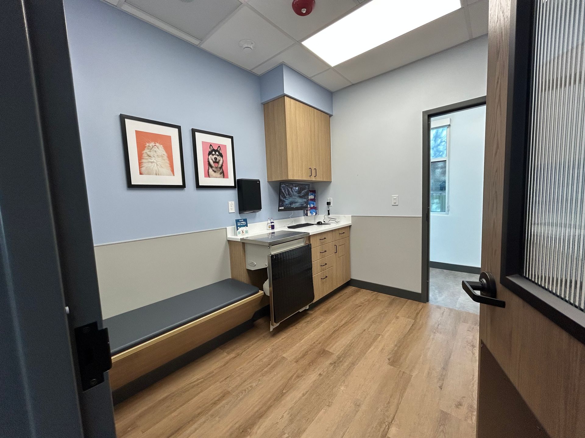 Veterinary examination room with light wood floors, blue walls, framed art, a bench, and cabinets.