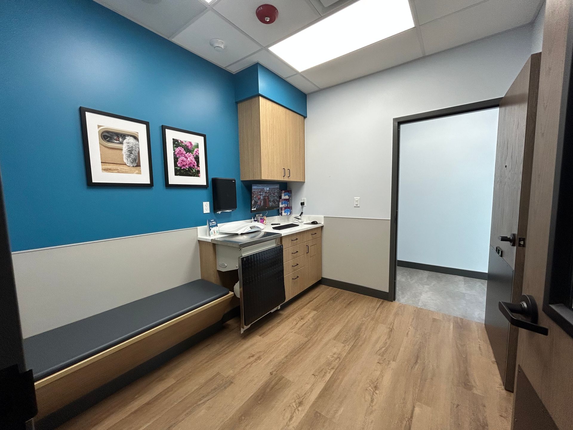 Examination room with teal and gray walls, wooden cabinets, and a bench.