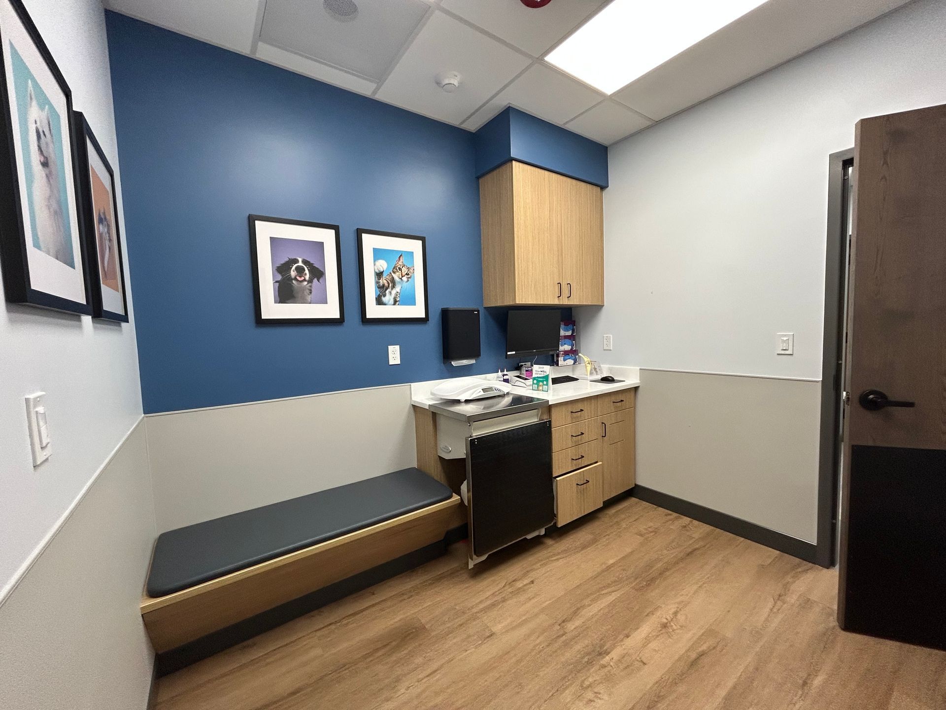Veterinary exam room with a bench, blue and gray walls, wooden cabinets, and framed animal portraits.