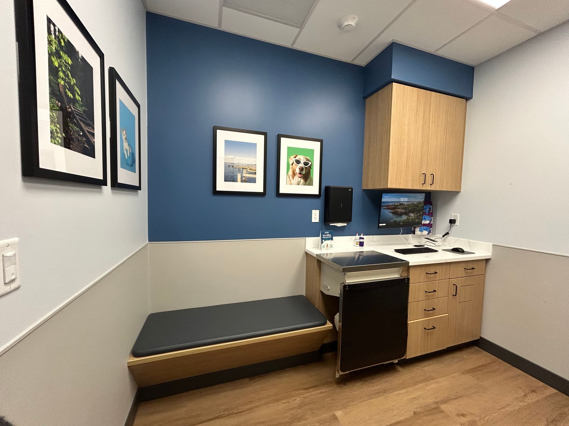 Veterinary exam room. Blue and tan walls, cabinets with computer, exam table, framed pictures, and wood-look flooring.