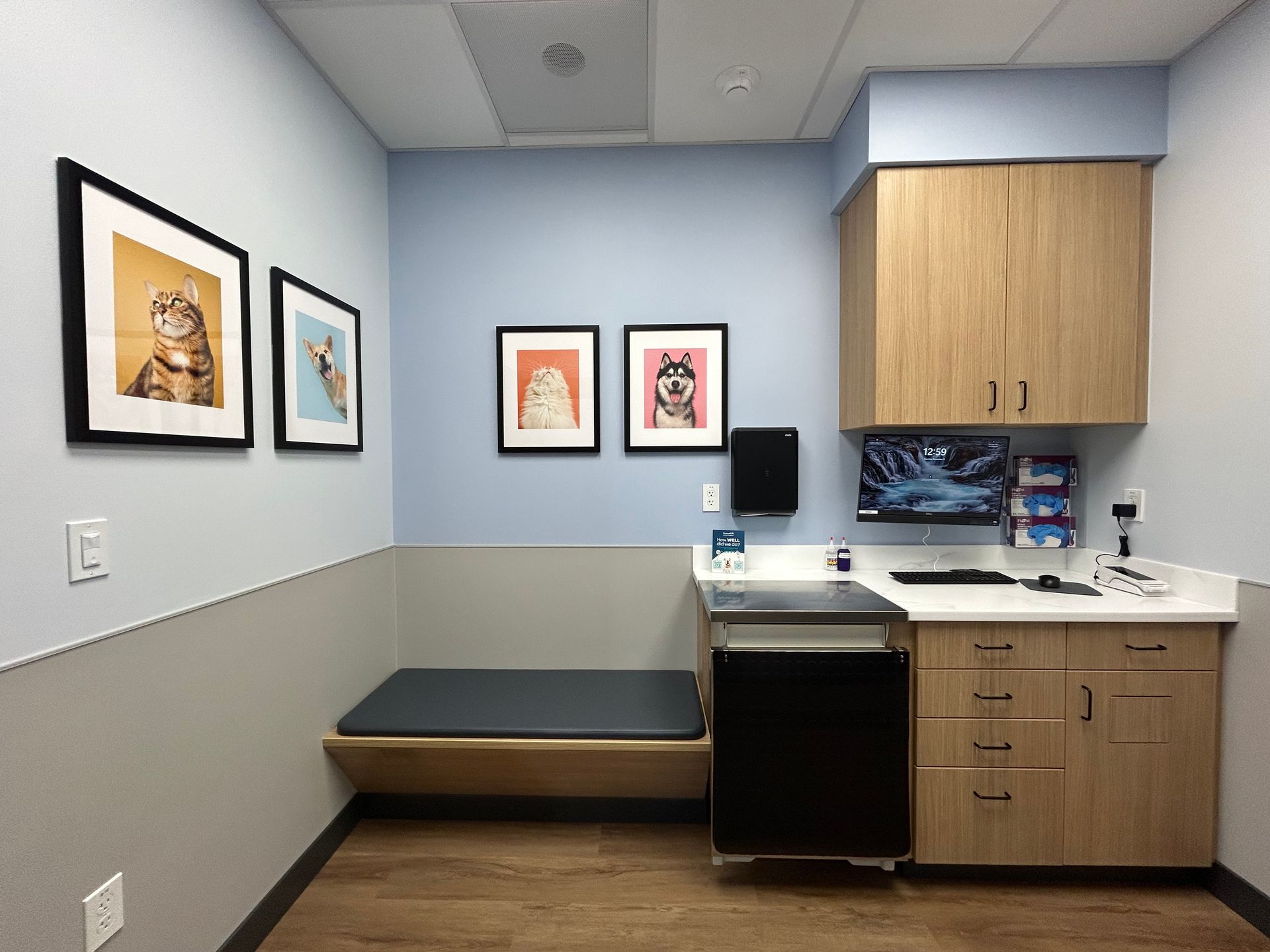 Veterinary exam room. Blue and gray walls, built-in bench, framed pet portraits, cabinets, and a computer.