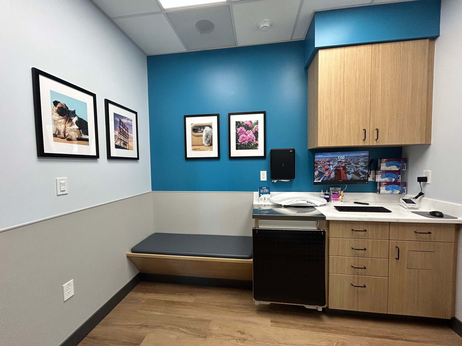 Examination room: blue accent wall, wooden cabinets, bench, framed photos, and medical equipment.