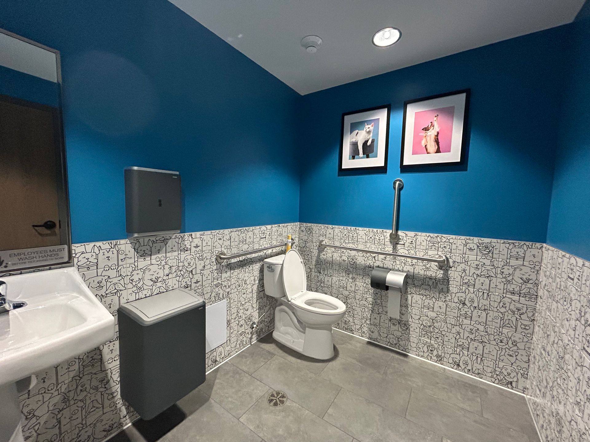Accessible bathroom with a toilet, sink, and grab bars. Blue walls, tiled lower walls, and two framed prints.