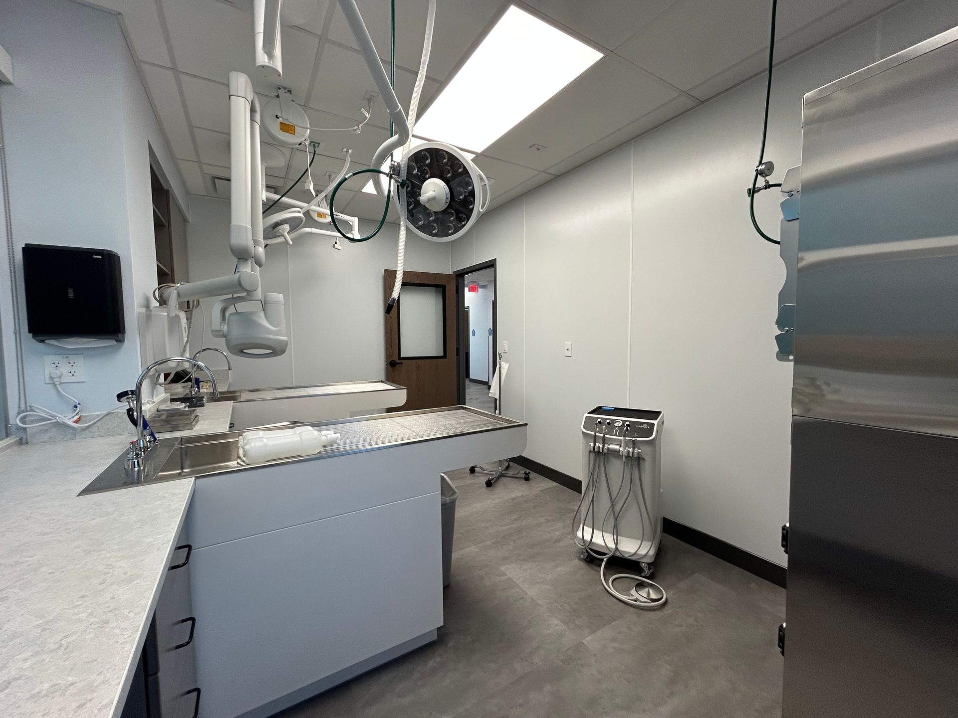 Veterinary operating room: stainless steel table, surgical lights, medical equipment, white walls, and a doorway.