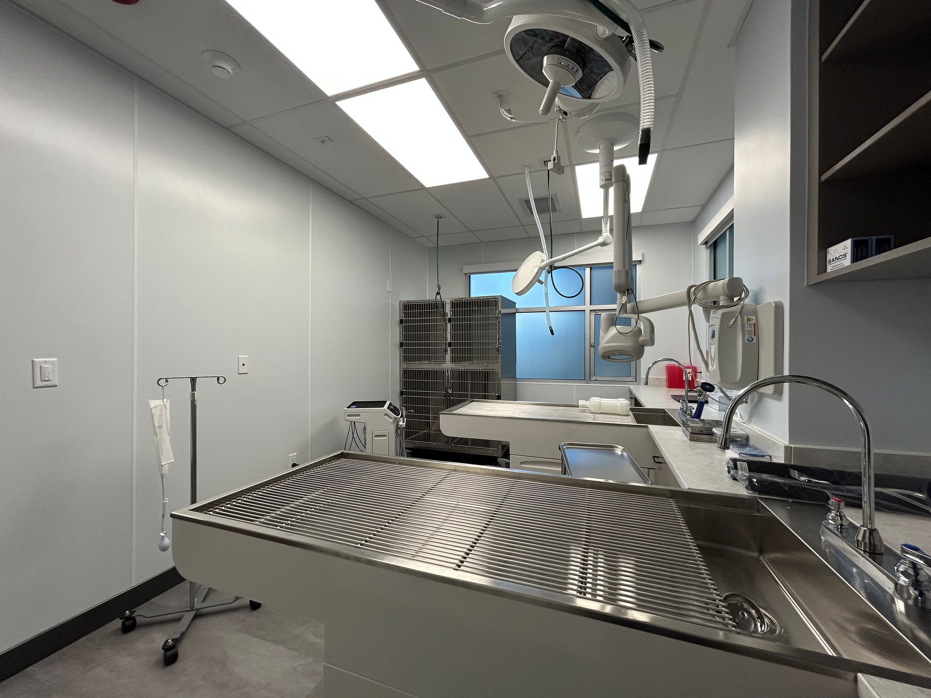 Veterinary operating room: stainless steel table, medical equipment, bright lighting, cages in the back, and white walls.
