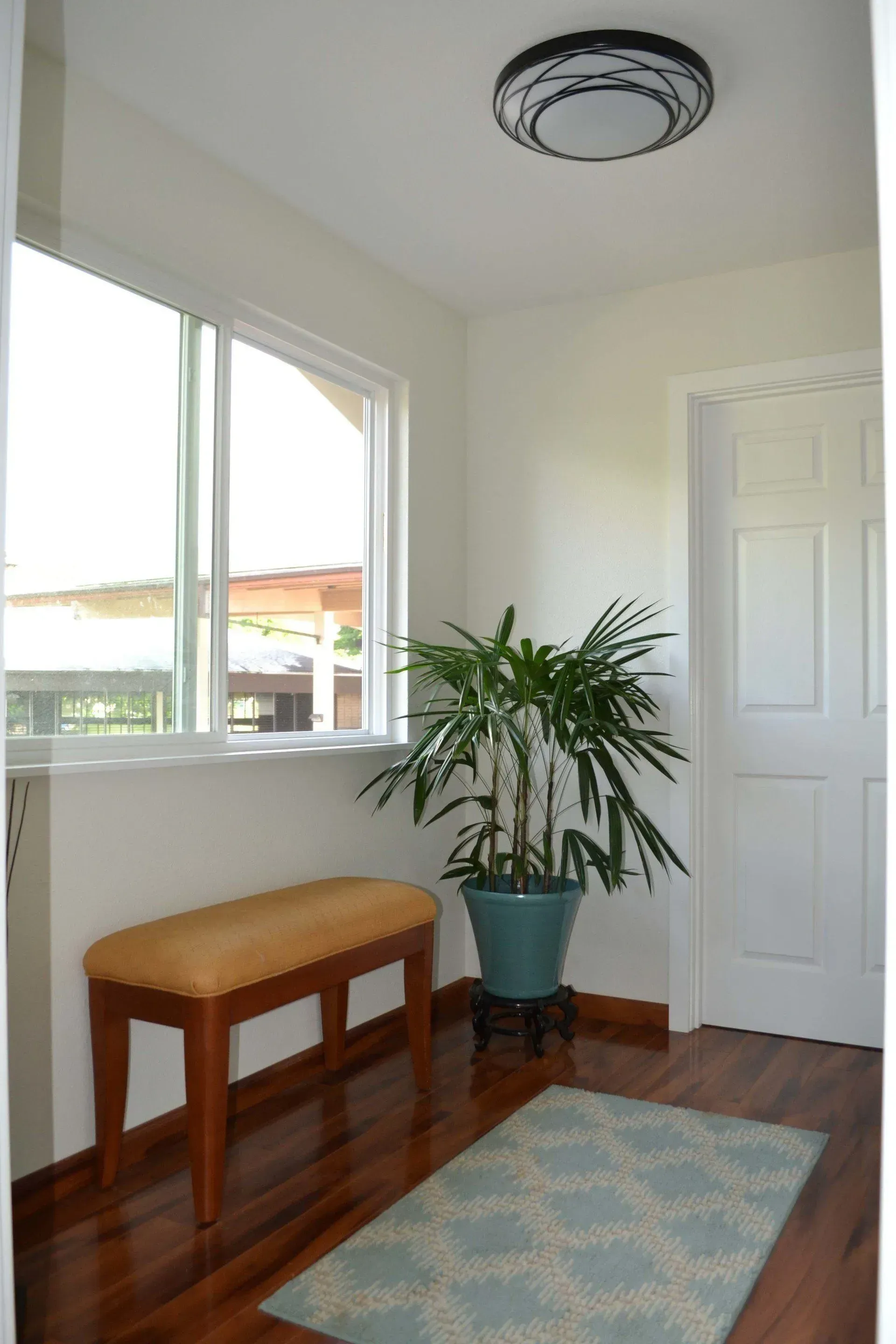 Entryway with bench, plant, and rug. Window on left, door on right. Hardwood floor. Bright lighting.