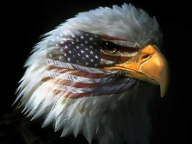 Bald eagle with U.S. flag superimposed on its face, set against a dark background.