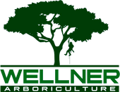 Wellner Arboriculture Logo