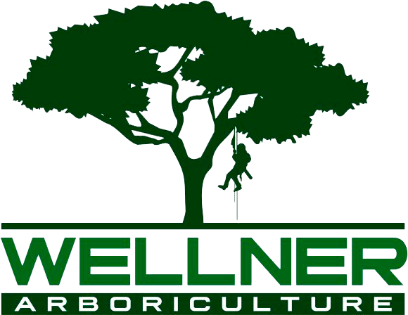 Wellner Arboriculture Logo