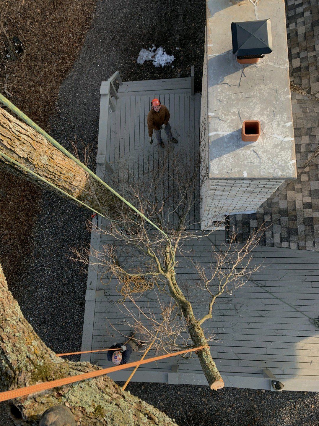 tree pruning
