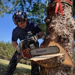 Tree Service in Eau Claire, WI