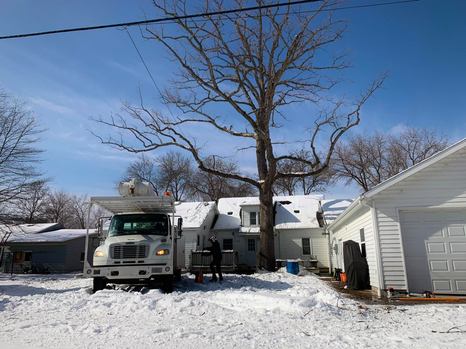 A truck is parked in the snow in front of a house with a big tree.