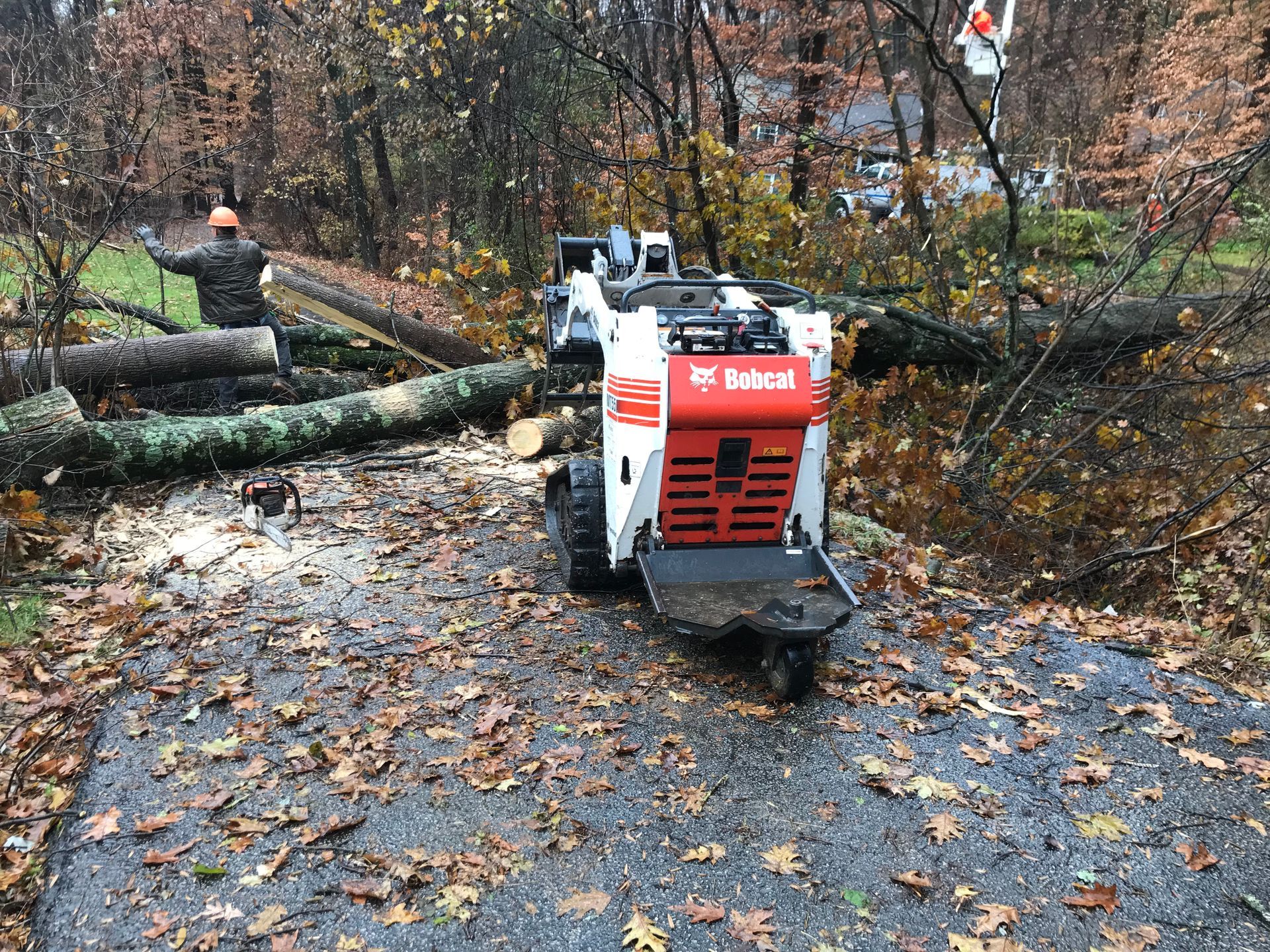 Bobcat skid-steer loader clearing a fallen tree from a driveway; a person operates a chainsaw.