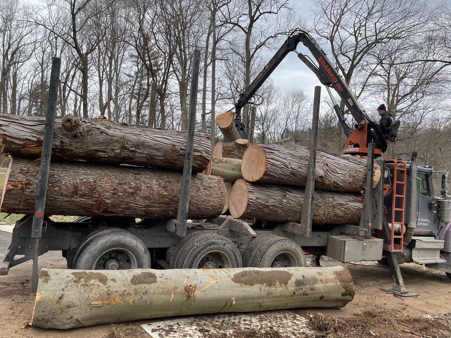 Logging truck with crane loading large logs in a wooded area.