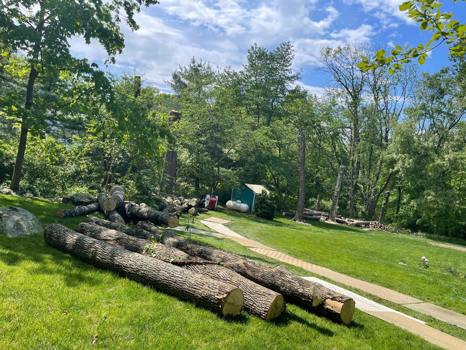 Logs on a green lawn with a dirt path, trees, and a small green building. Blue sky.