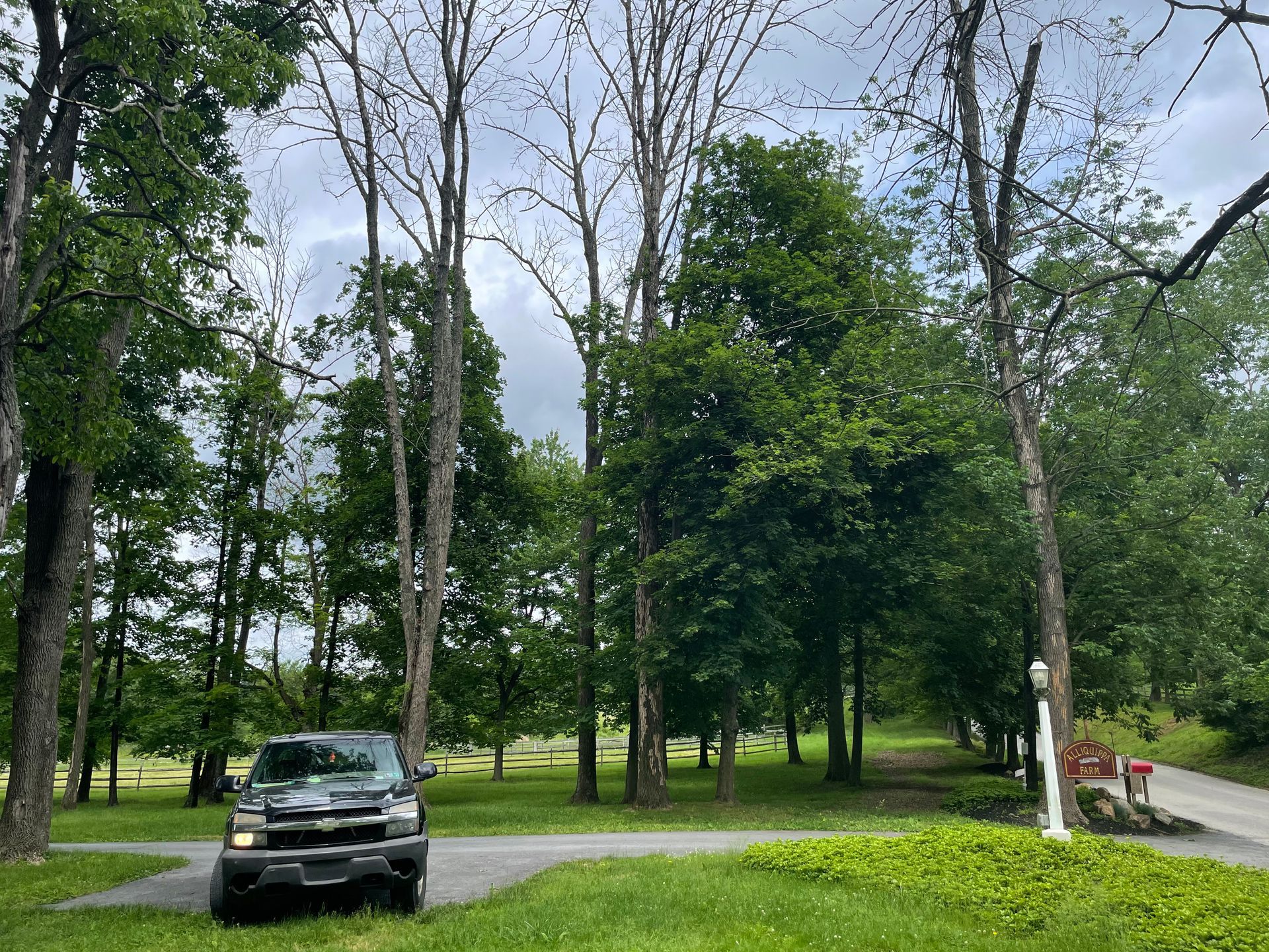 Pickup truck parked on a gravel driveway, trees and green grass surround it; overcast sky in the background.