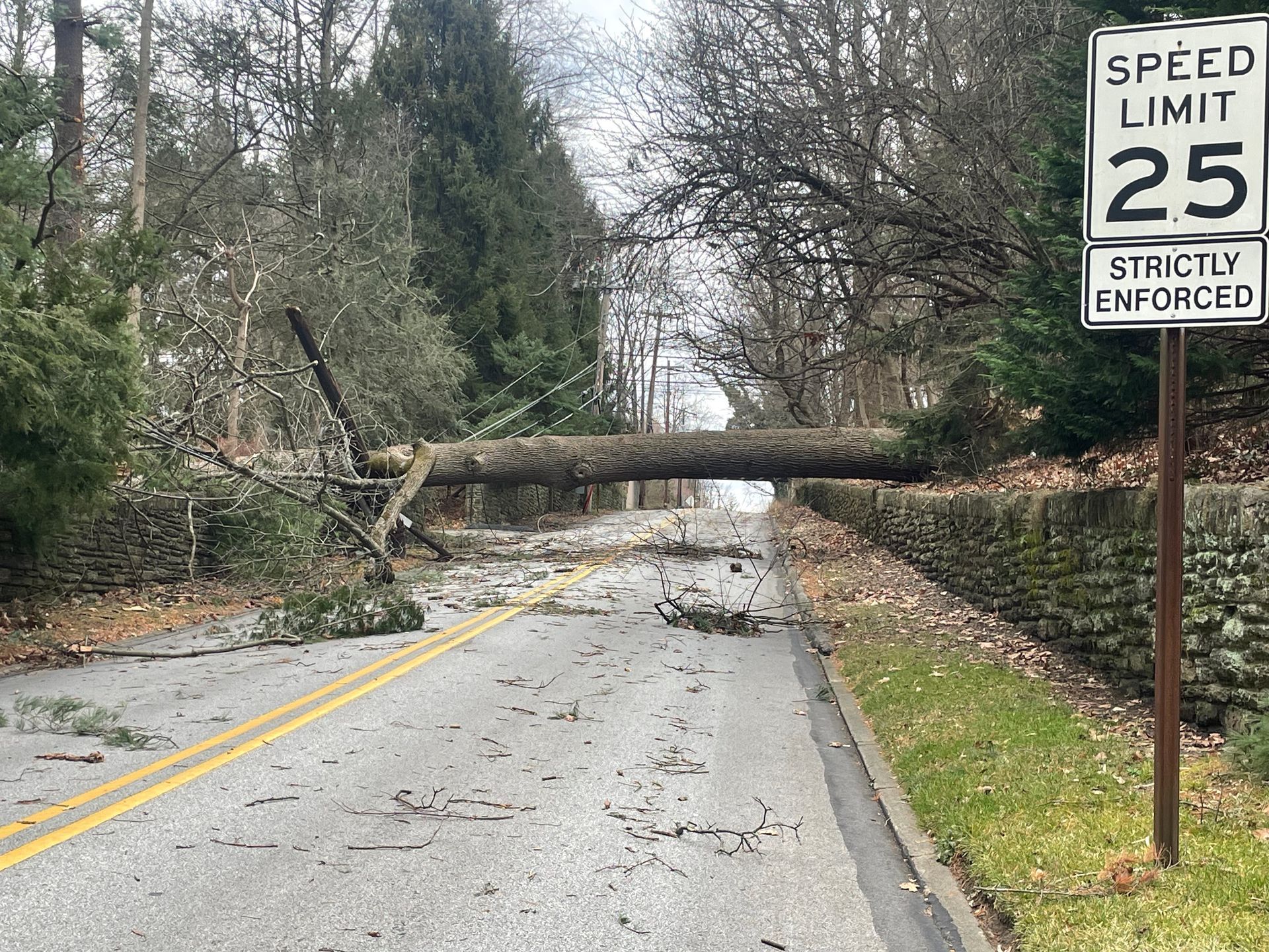 Road blocked by fallen tree; speed limit sign 25 mph. Debris covers the road.