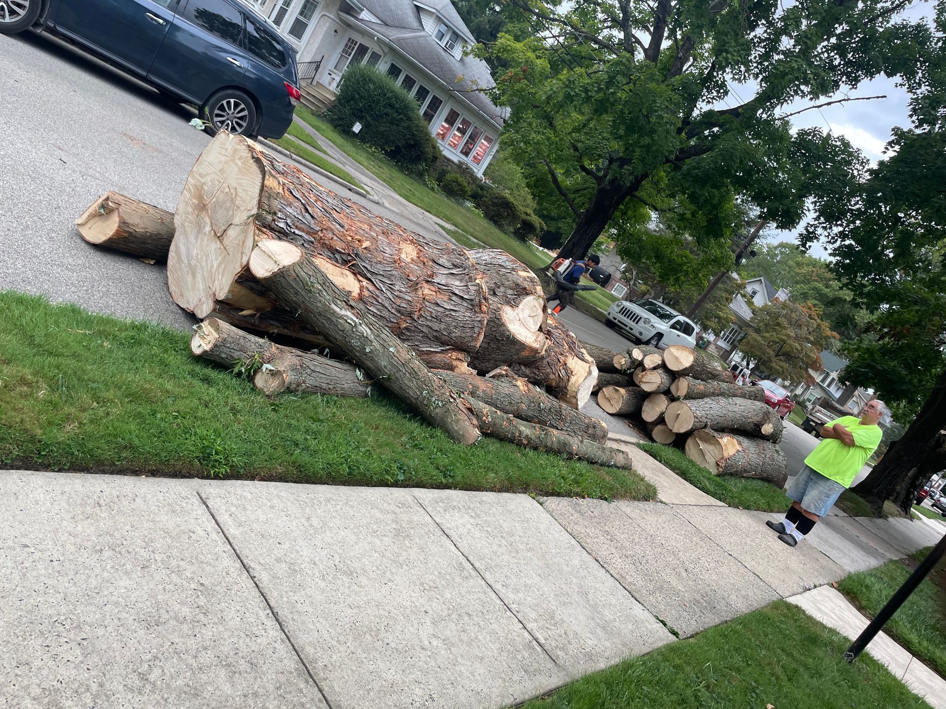 Fallen tree trunk and cut logs on a sidewalk and grass next to a street; person standing nearby.