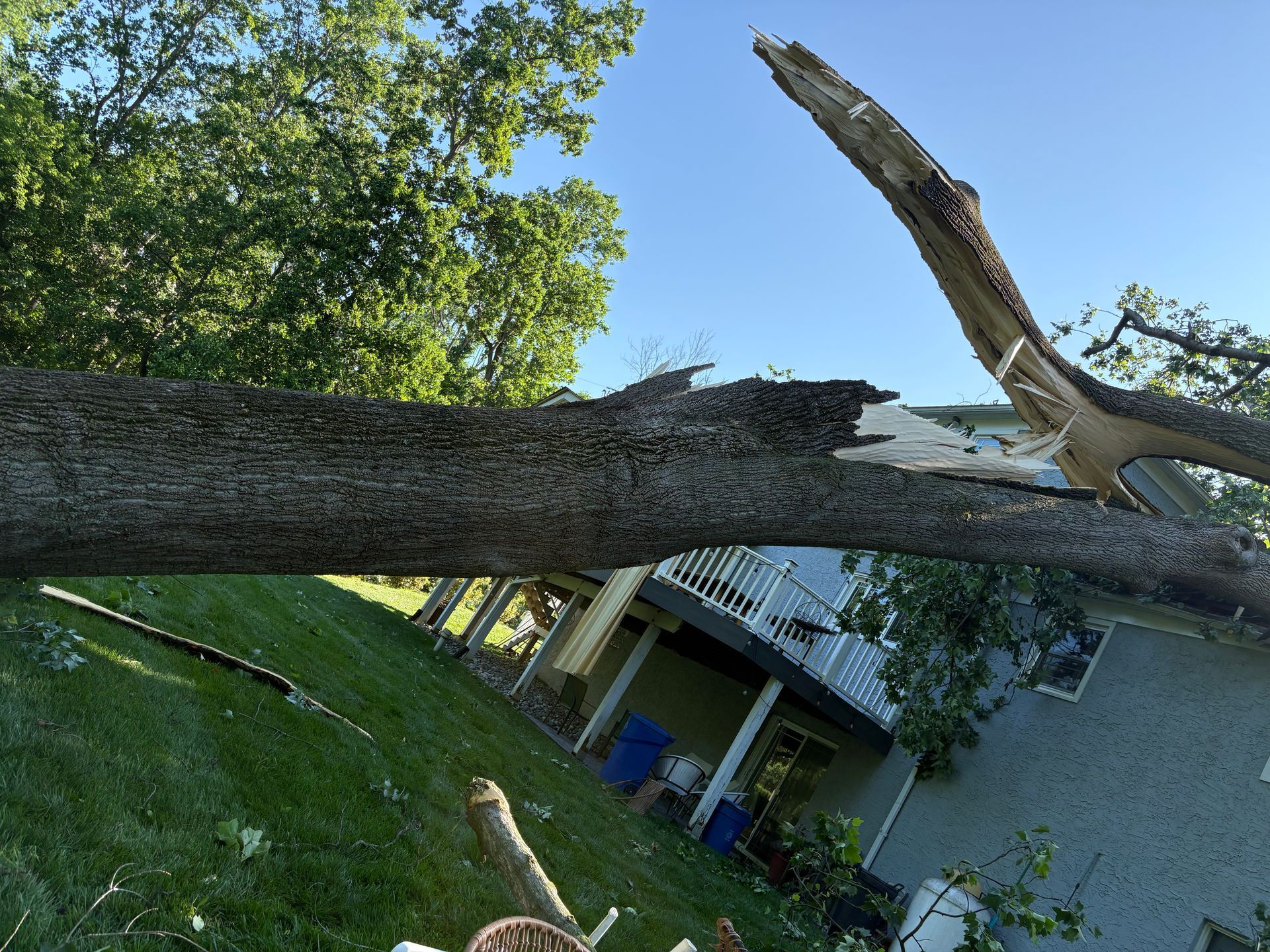 Broken tree branch, likely from storm, over a house and green lawn.