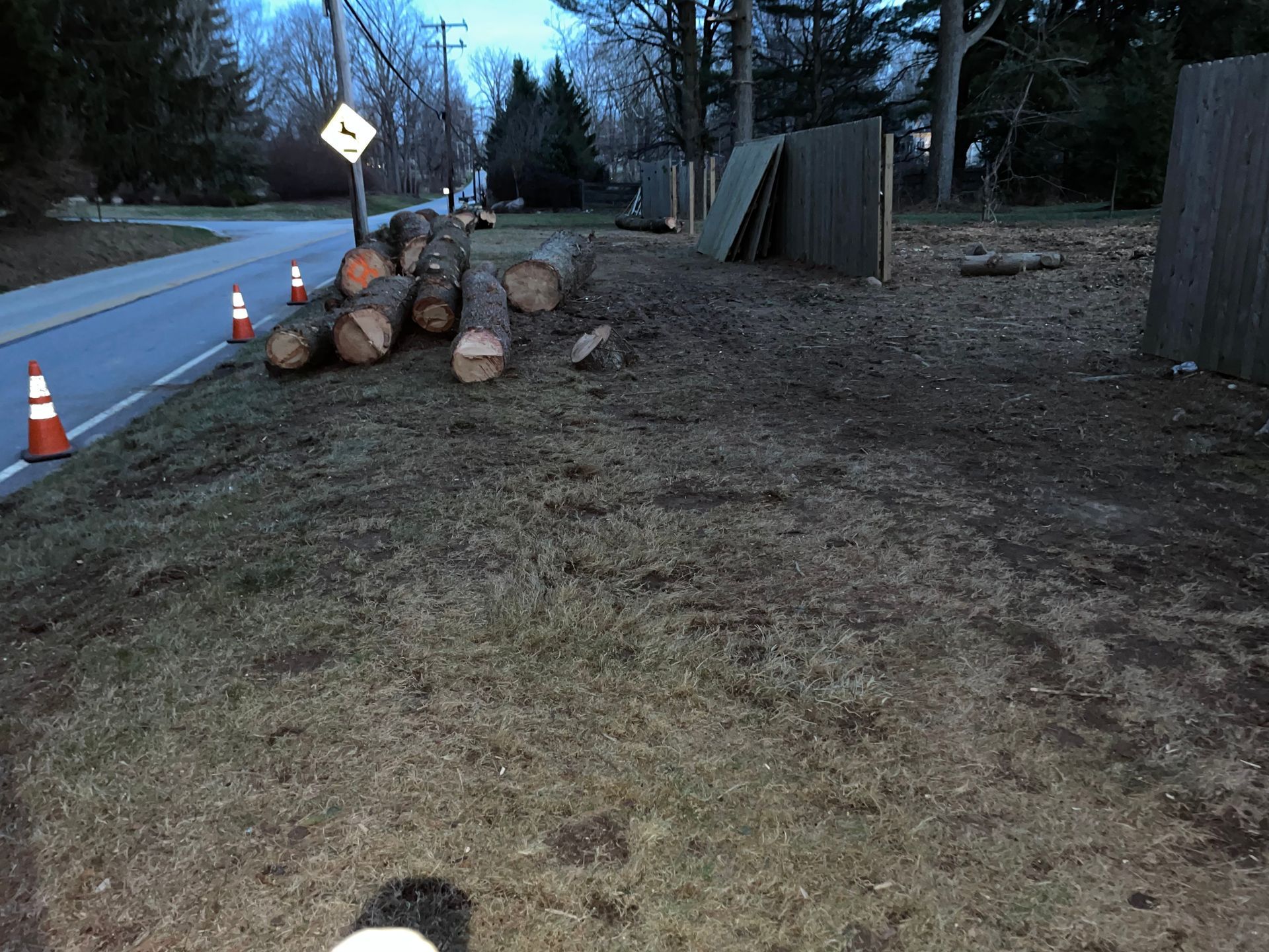 Logs on grass next to a road, orange cones, wooden fence in the background. Evening light.