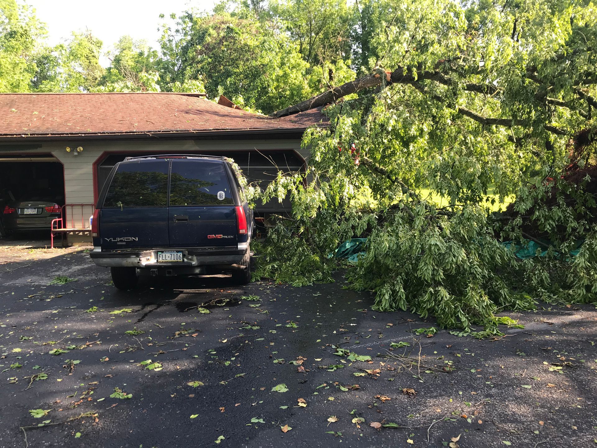 Tree branch fallen on a dark SUV and garage; leaves scattered on the driveway.