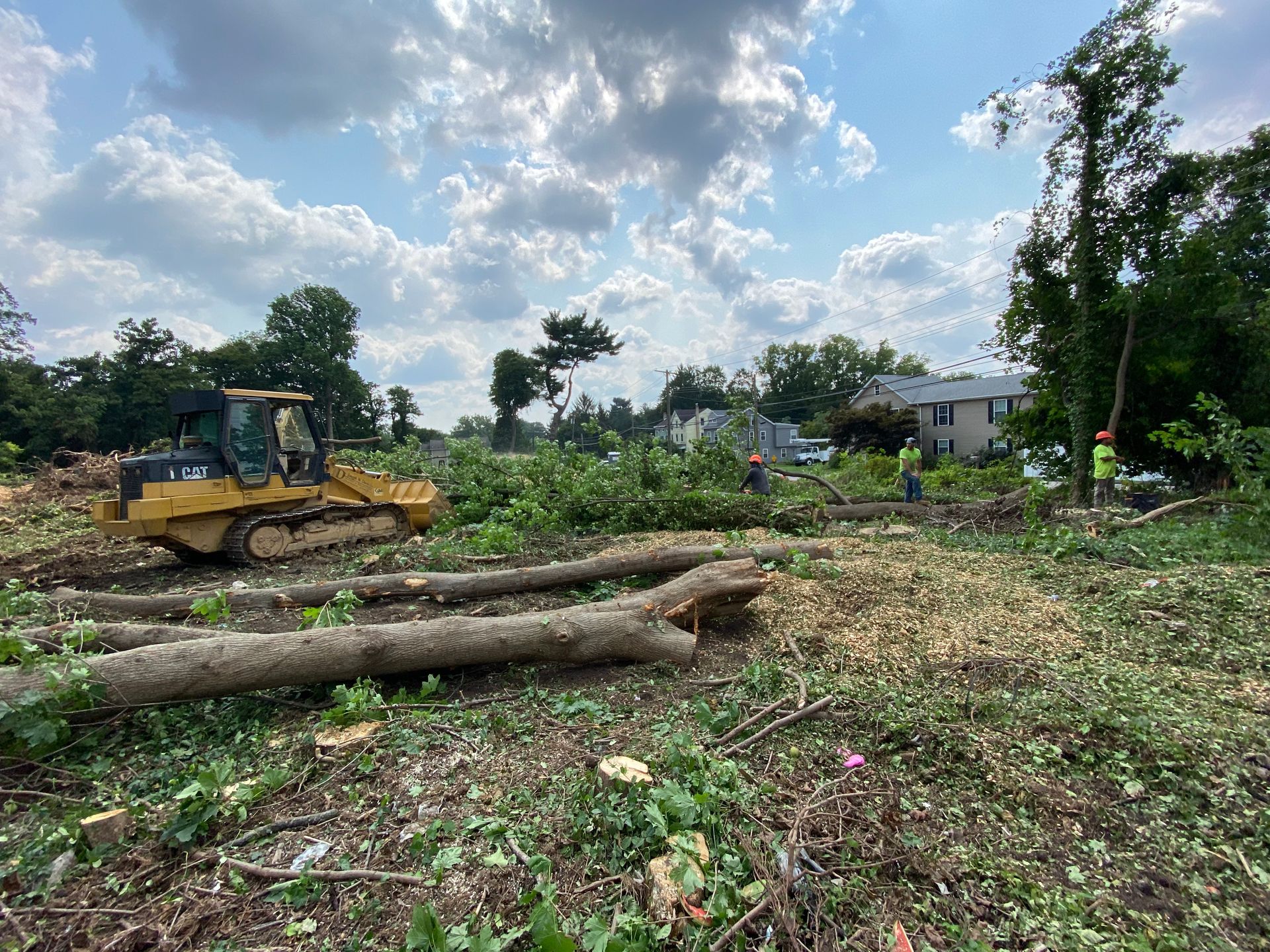 Bulldozer clearing a wooded area; felled logs and wood chips litter the ground. Buildings in background.