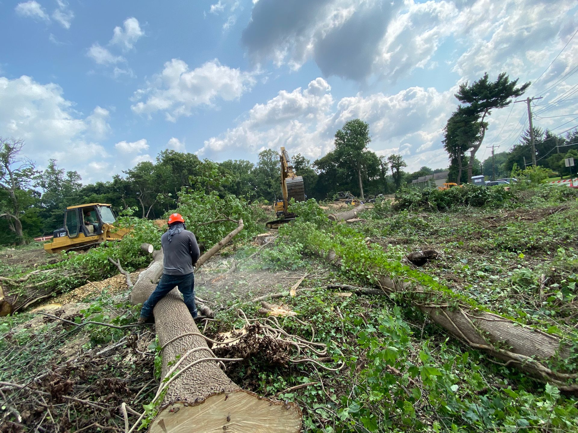 Man using a chainsaw to cut a log, in a deforested area. Bulldozer and excavator visible. Overcast sky.