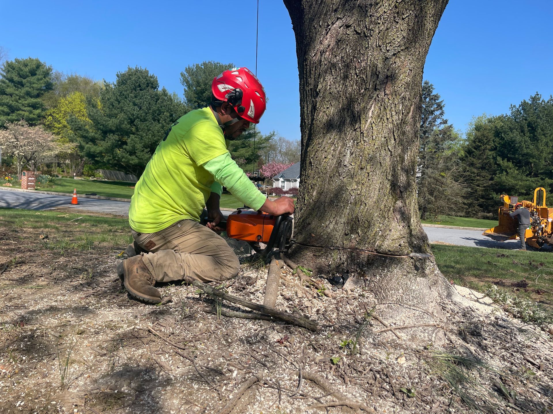 Arborist kneeling, cutting tree trunk with chainsaw. Wearing safety helmet and bright green shirt. Outdoors.