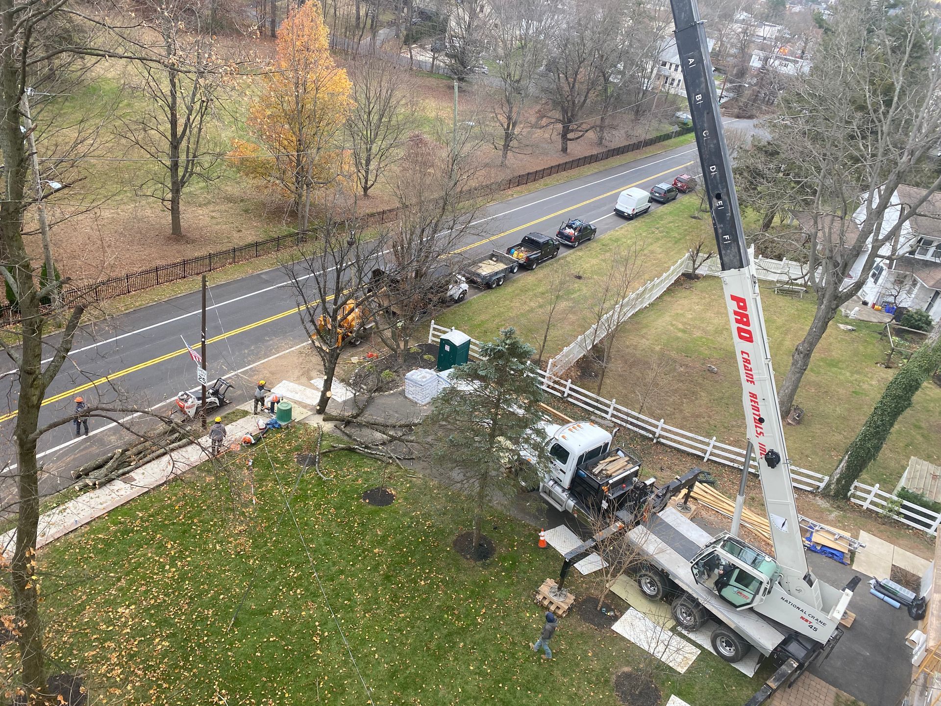 Crane lifting tree parts near a road; workers and vehicles present.