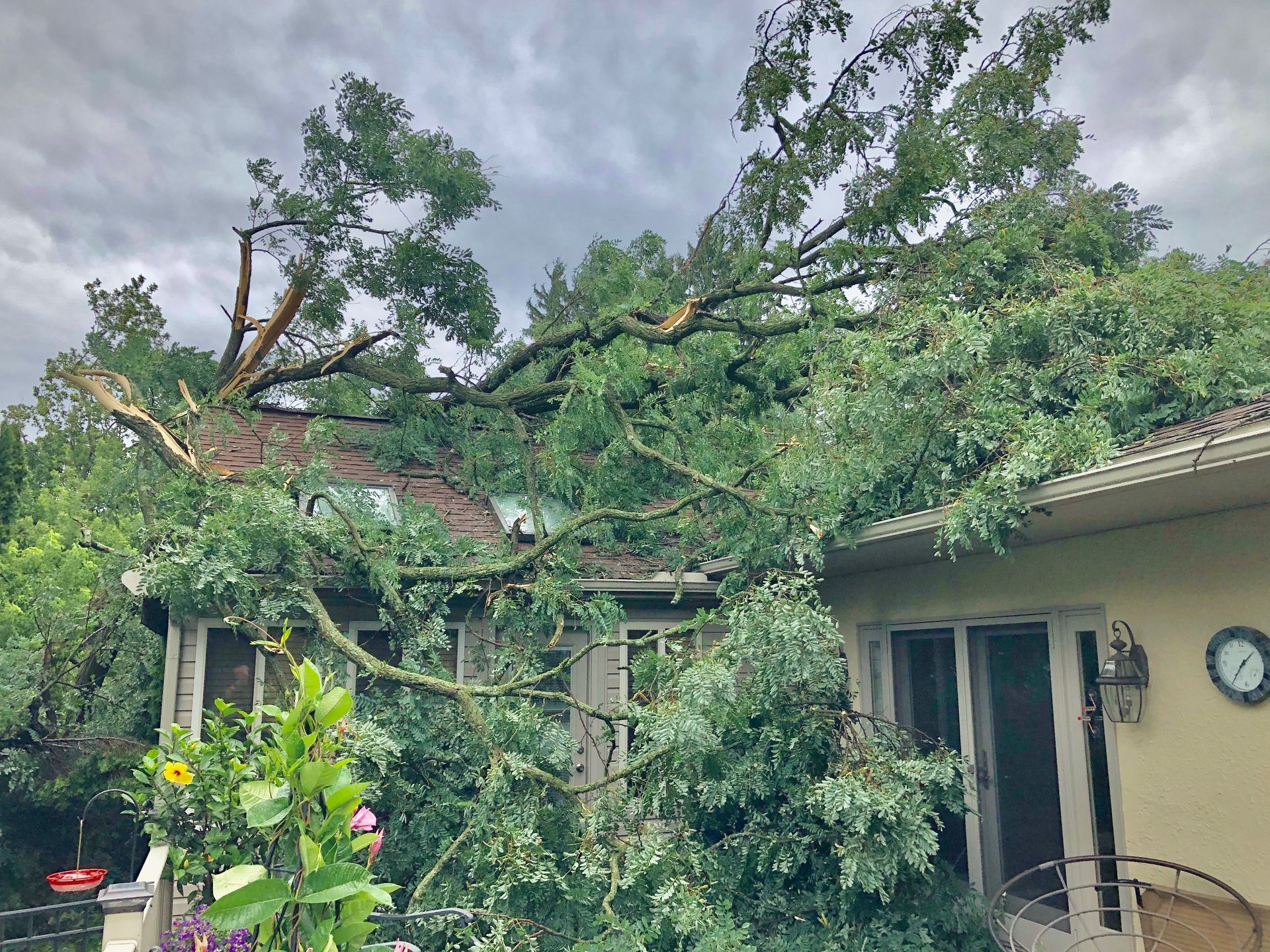 Tree branches covering a roof after storm; cloudy sky.