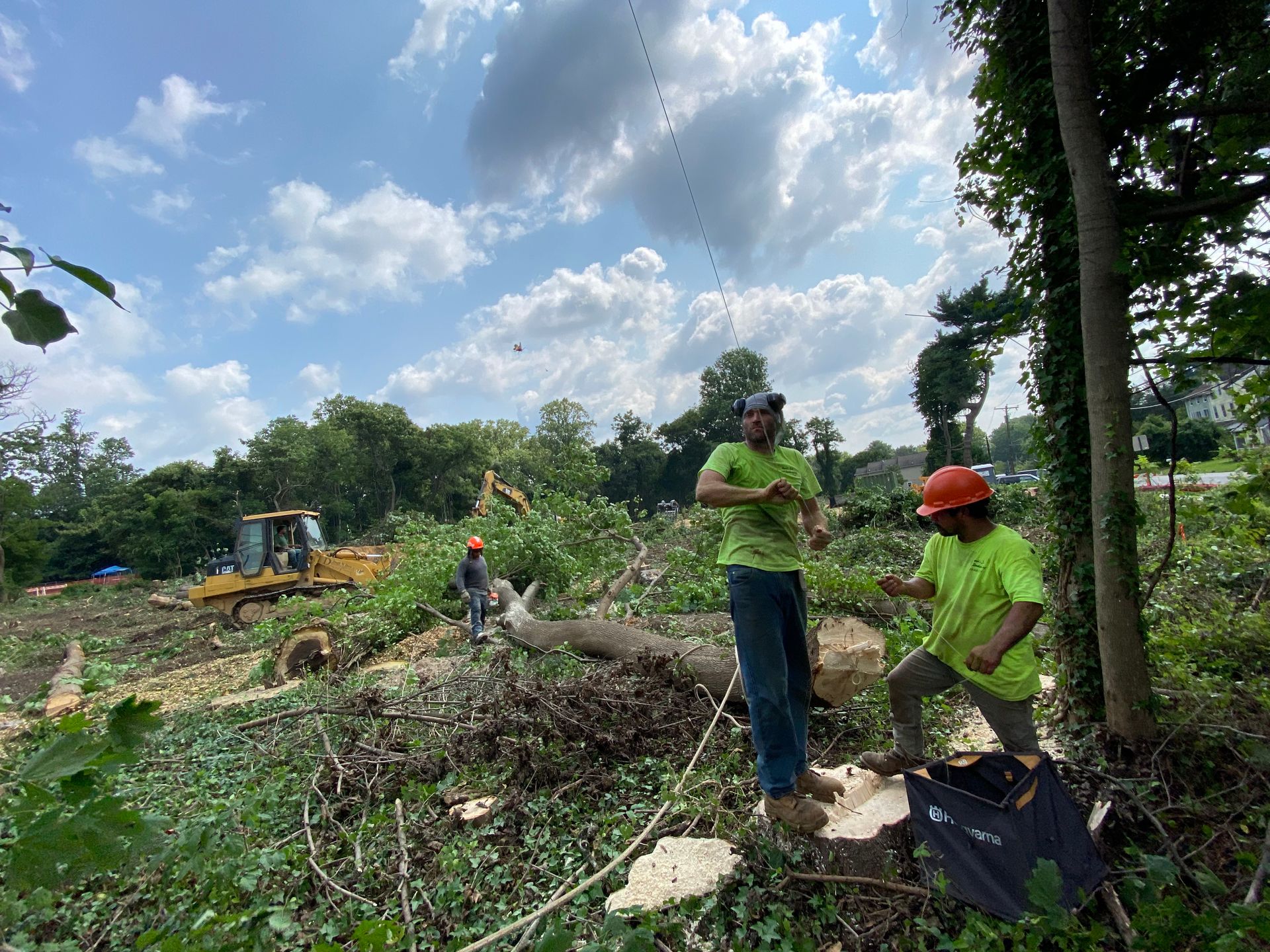 Tree removal crew in green shirts and hard hats, clearing a wooded area under a cloudy sky.