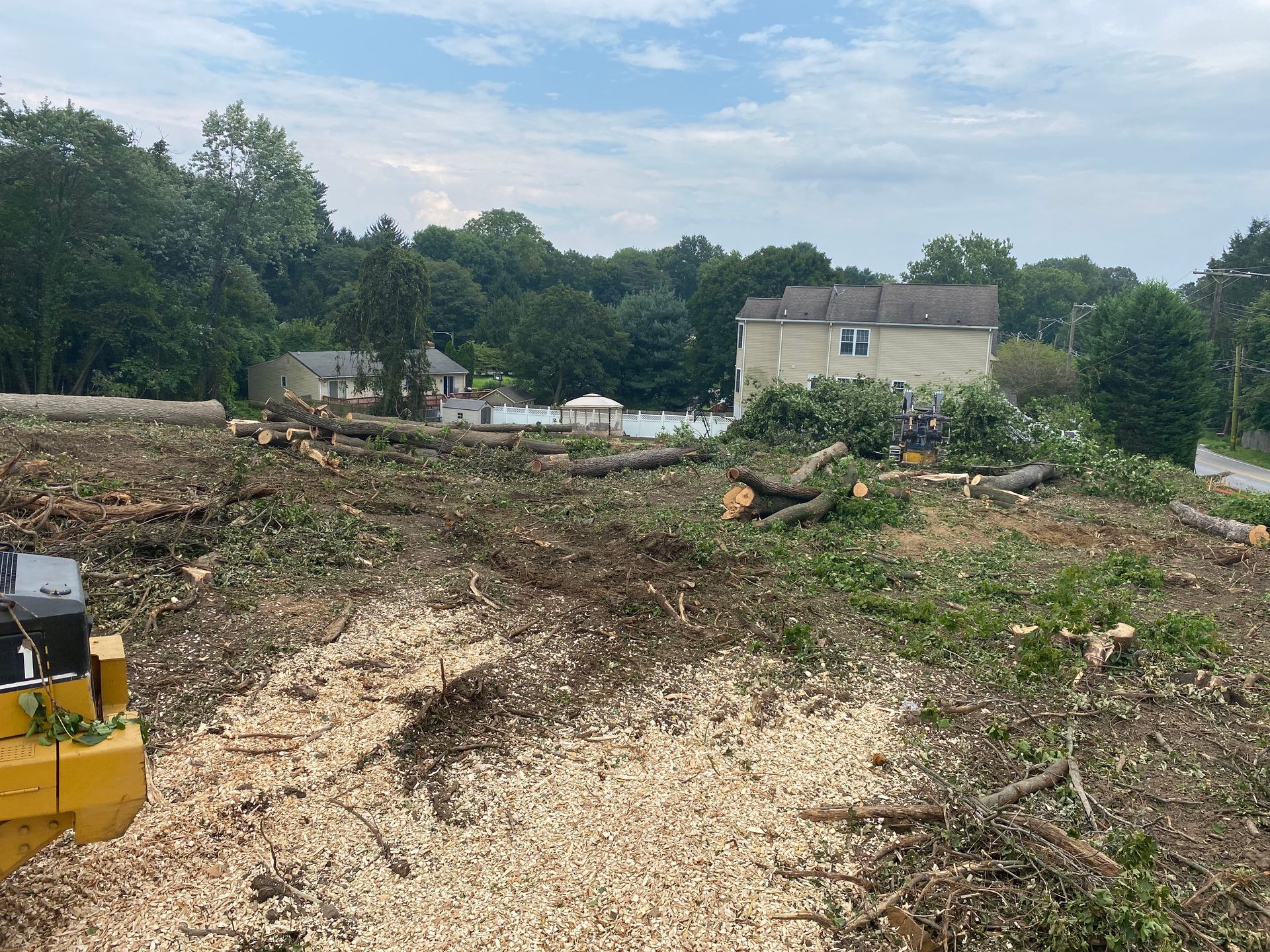 Clearing of land with scattered tree debris, woodchips, and residential buildings in the background.
