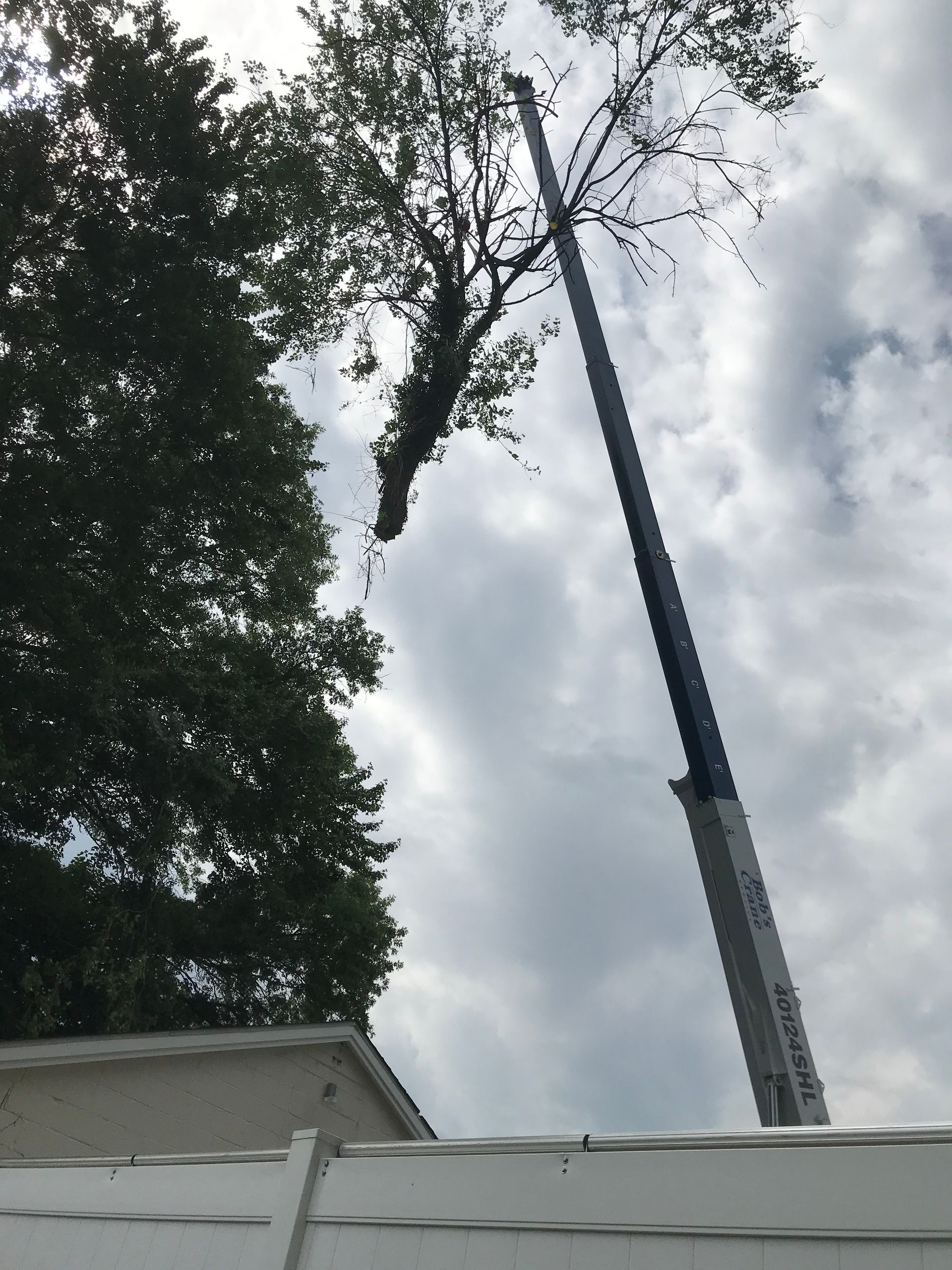 Crane lifting a tree limb, blue sky in the background, over a white fence.